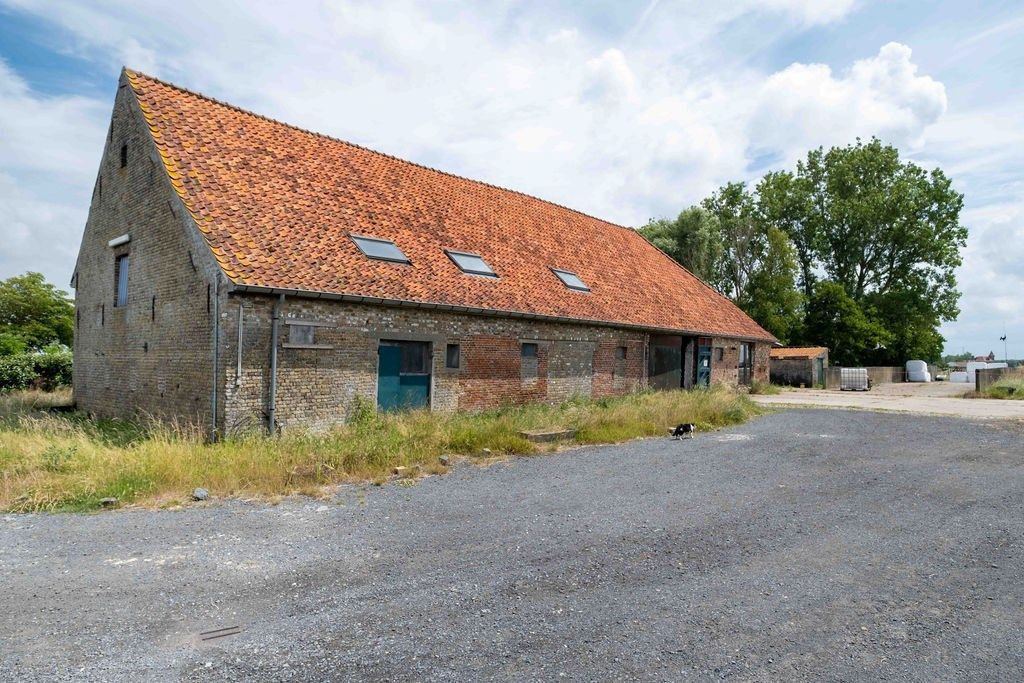 HOEVE op 6,9 HA met NIEUWE VERGUNNING voor PAARDENFOKKERIJ foto 9