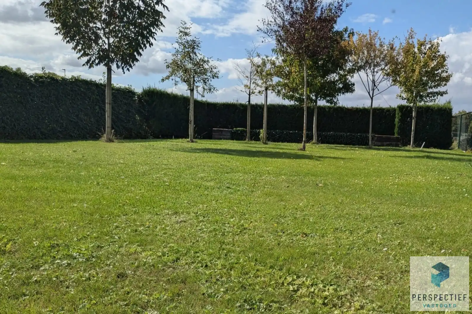 BEZOEKMOMENT ZATERDAG 25/04 VAN 14U TOT 16U | Ruime, instapklare woning met 4 slaapkamers, garage en magazijn op 970 m² foto 4