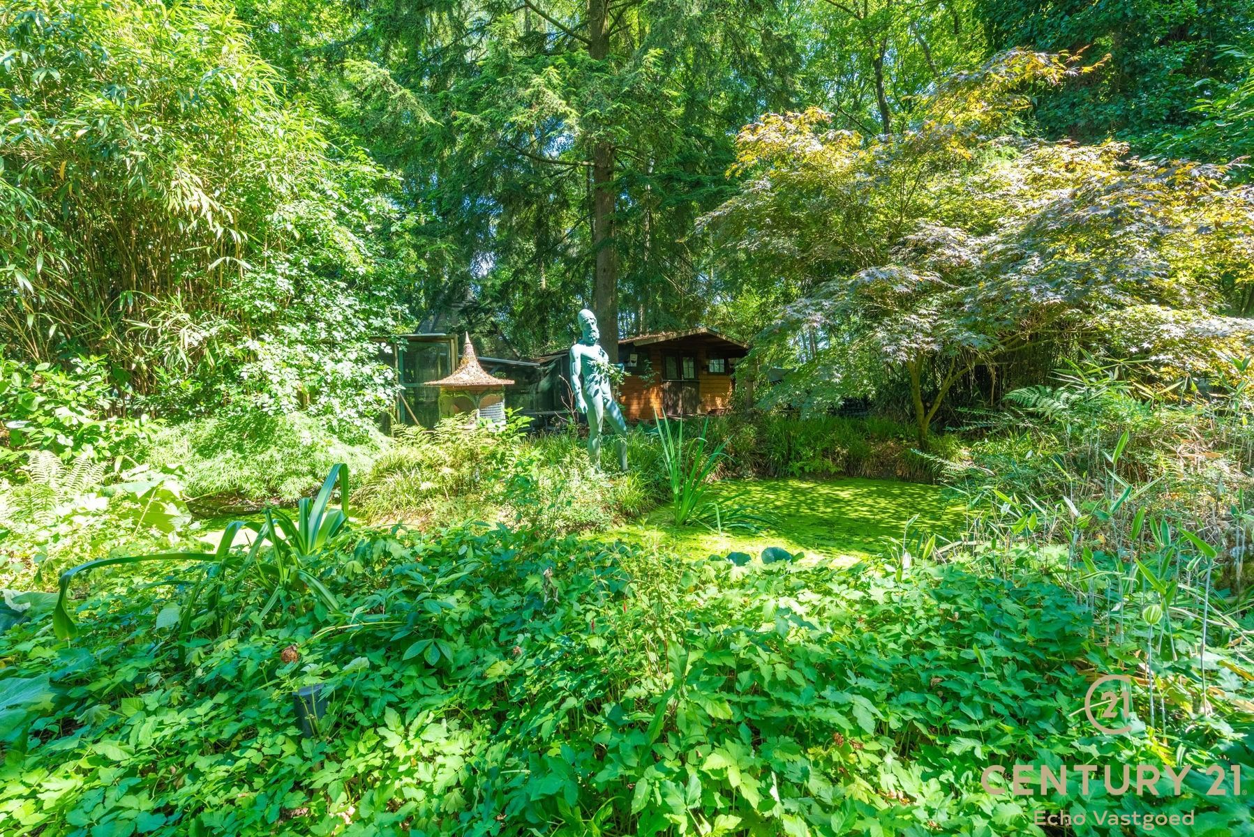Volledig te renoveren vakantiechalet op een royaal perceel foto 13
