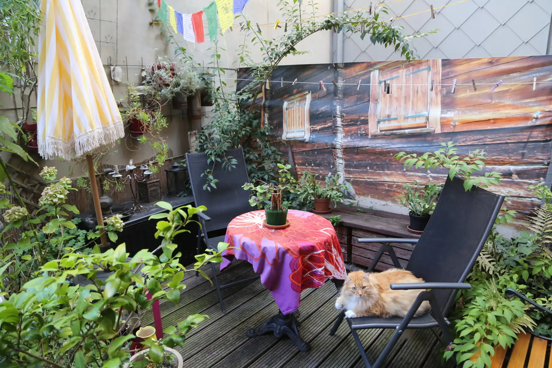 Energiezuinig appartement met mooi terras op toplocatie!  foto 8