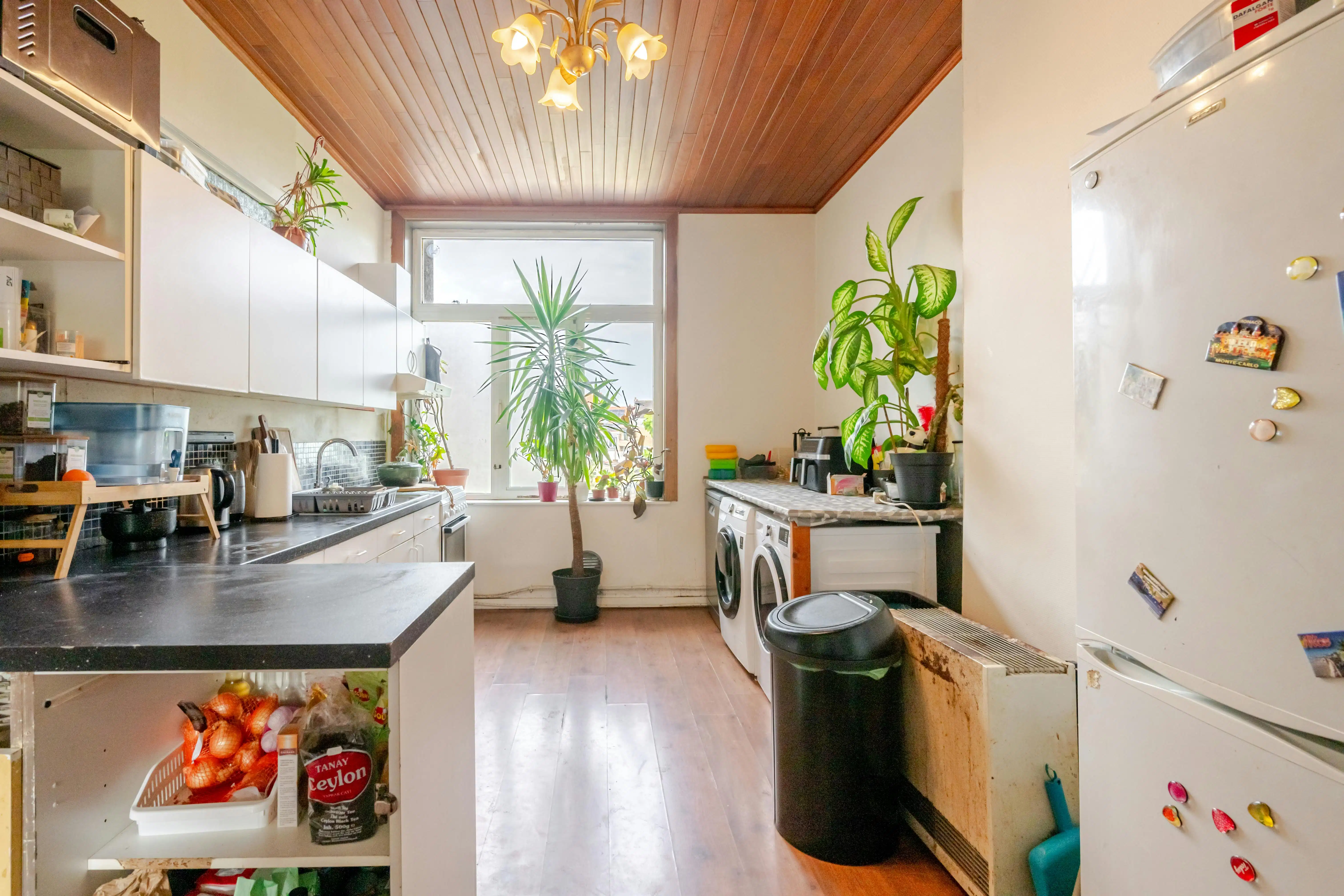 Opbrengsteigendom te koop met 4 vergunde entiteiten te Oostende foto 13