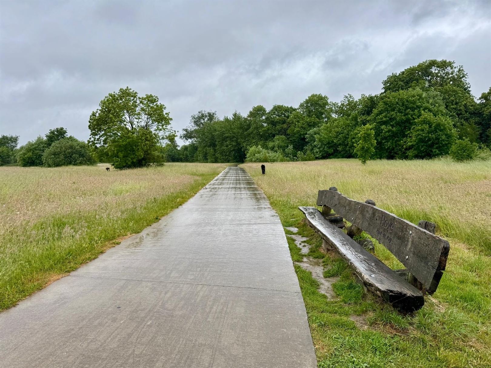 Praktische gezinswoning met tuinzicht in hartje Mortsel foto 27
