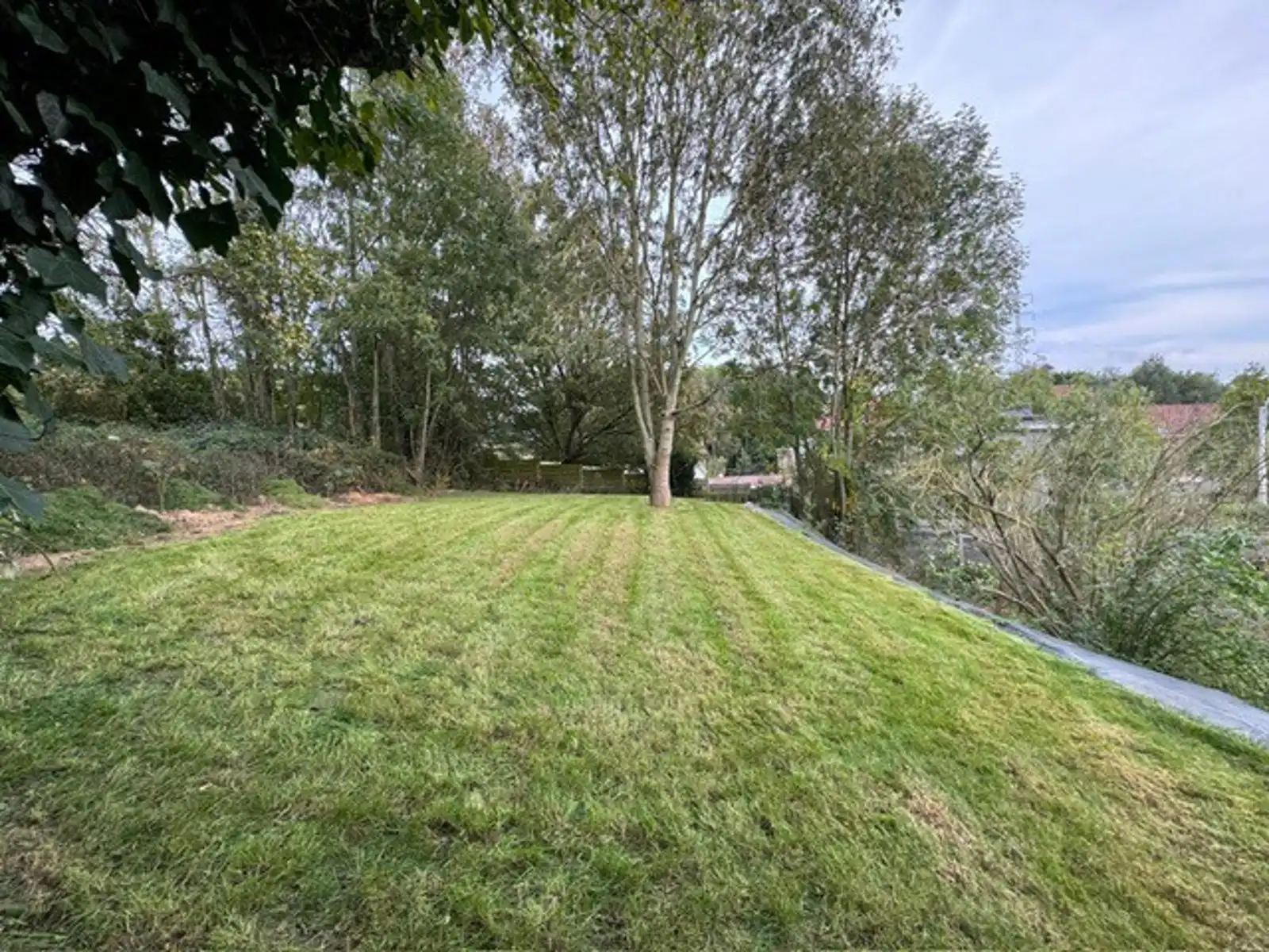 Rustig gelegen te renoveren en af te werken woning op 935m² foto 6