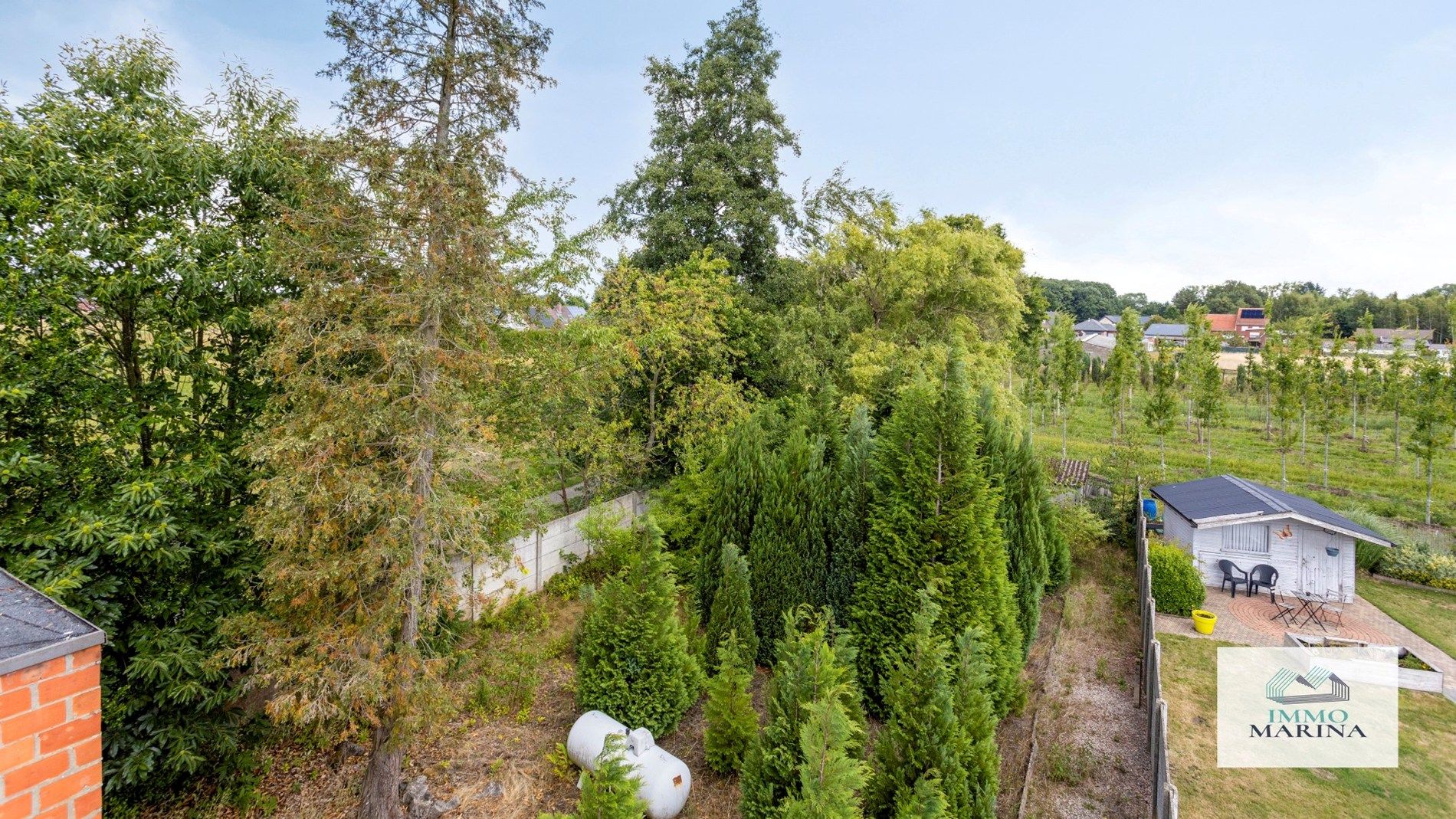 Ruime (kangoeroe)woning op 9,5a te Begijnendijk  foto 3