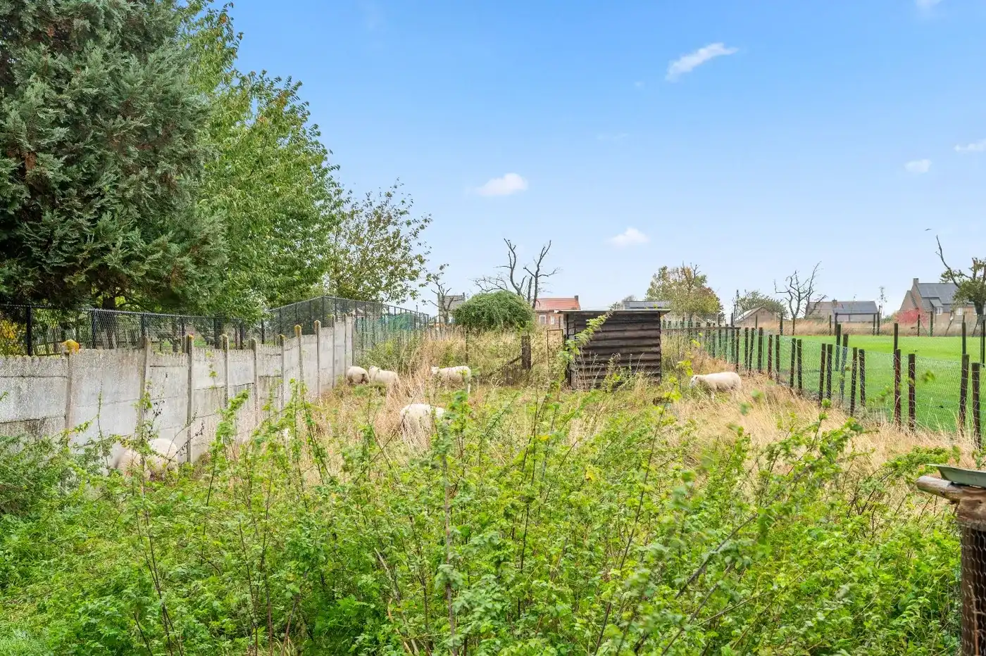 Te renoveren woning met potentieel op ruim perceel te Attenhoven foto 25