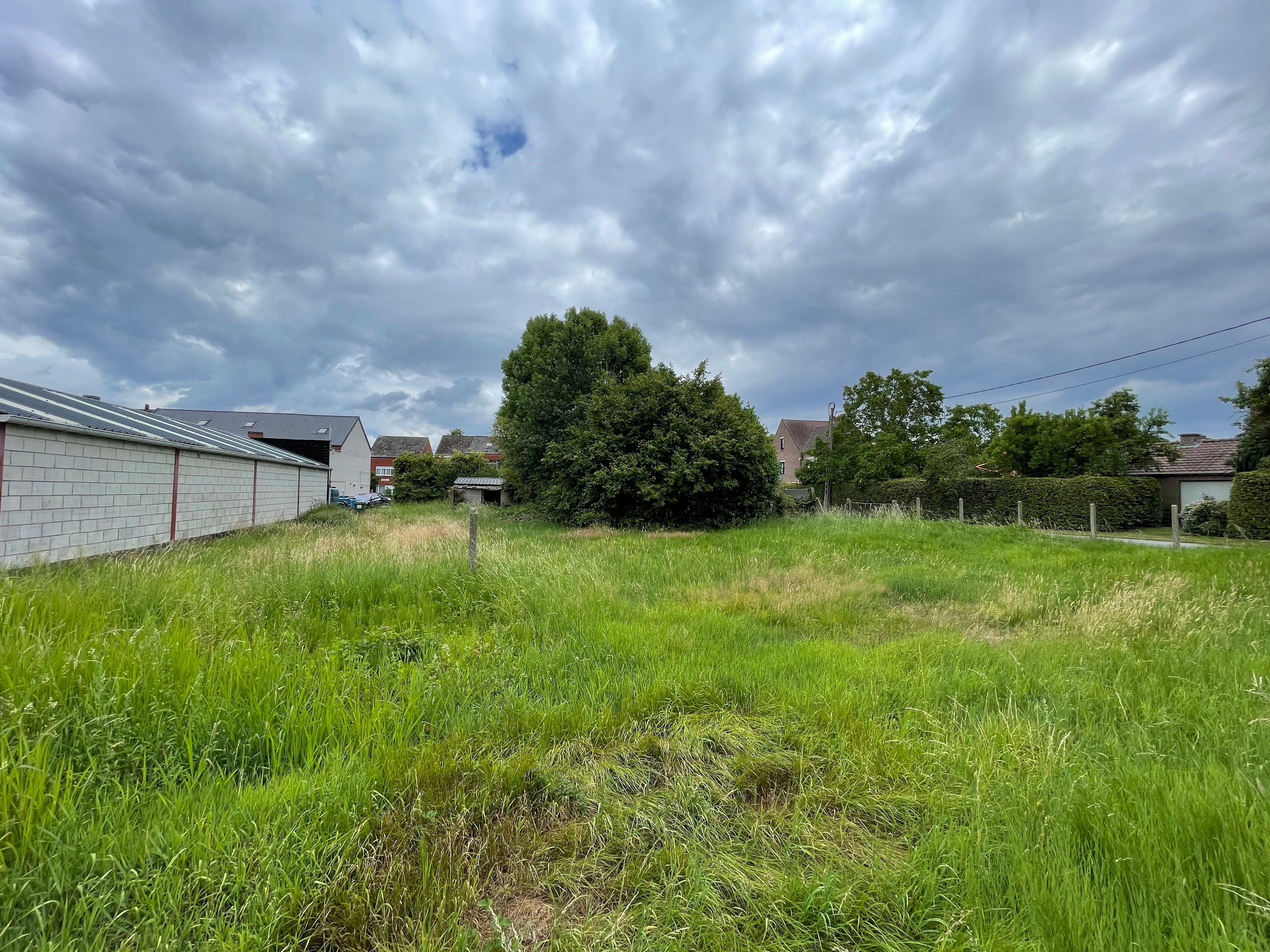 Prachtig gel projectgr 1626m² foto 3