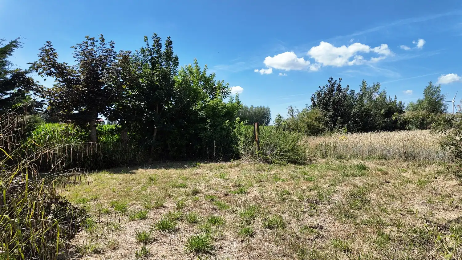 Te renoveren woning met weide op royaal perceel in Eeklo foto 21