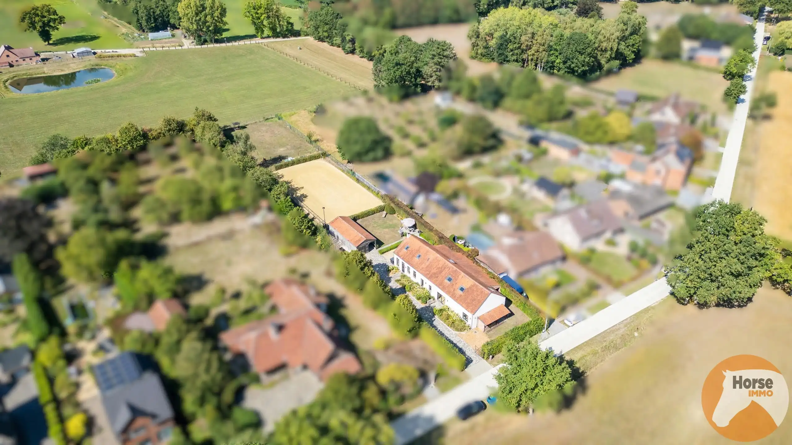 HAM - Langgevelhoeve met stallen, piste en weiland op 1ha5 foto 3