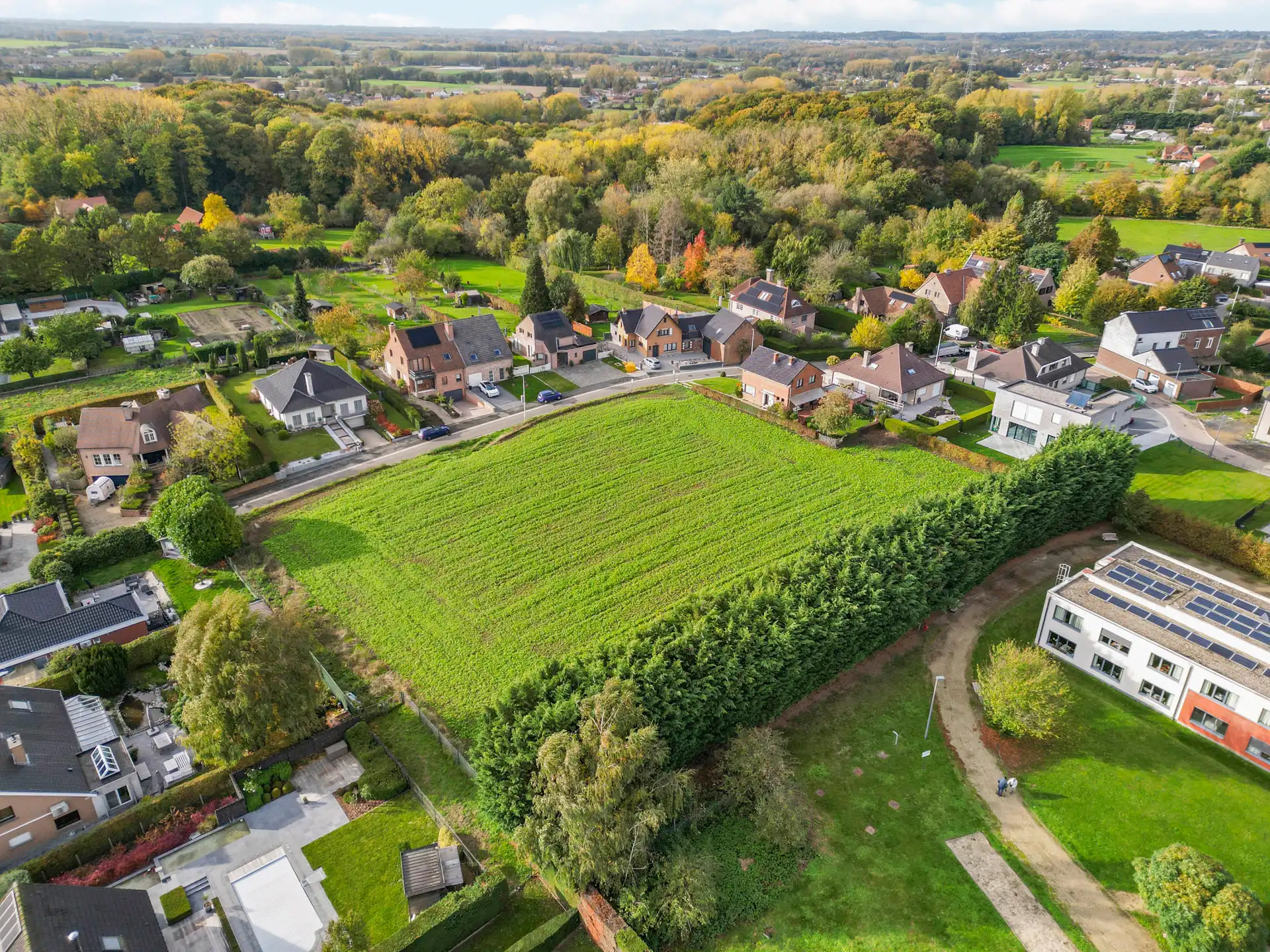 🌳 Investeringsperceel van 50a met verkavelingspotentieel foto 4