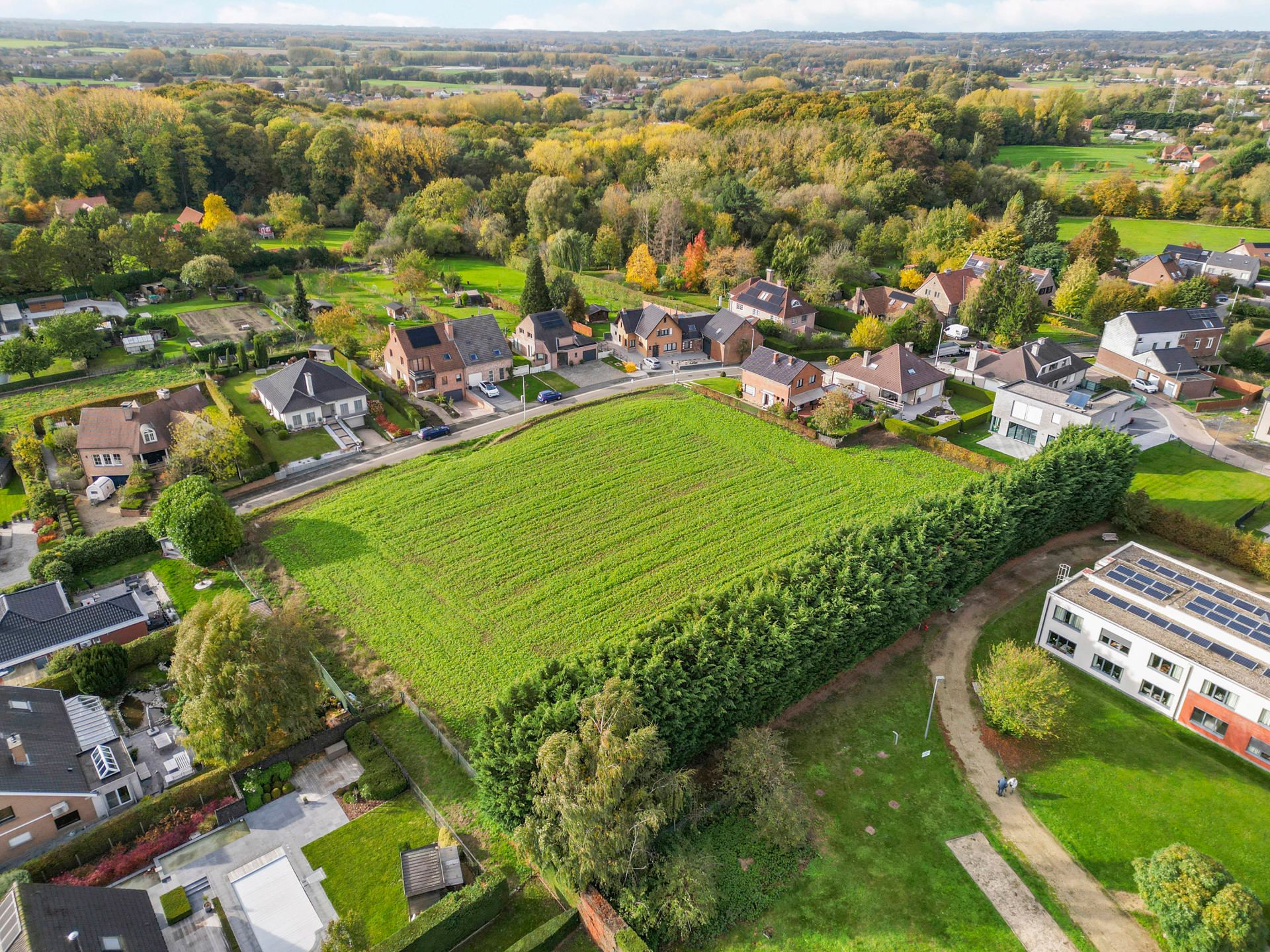 🌳 Investeringsperceel van 50a met verkavelingspotentieel foto 4