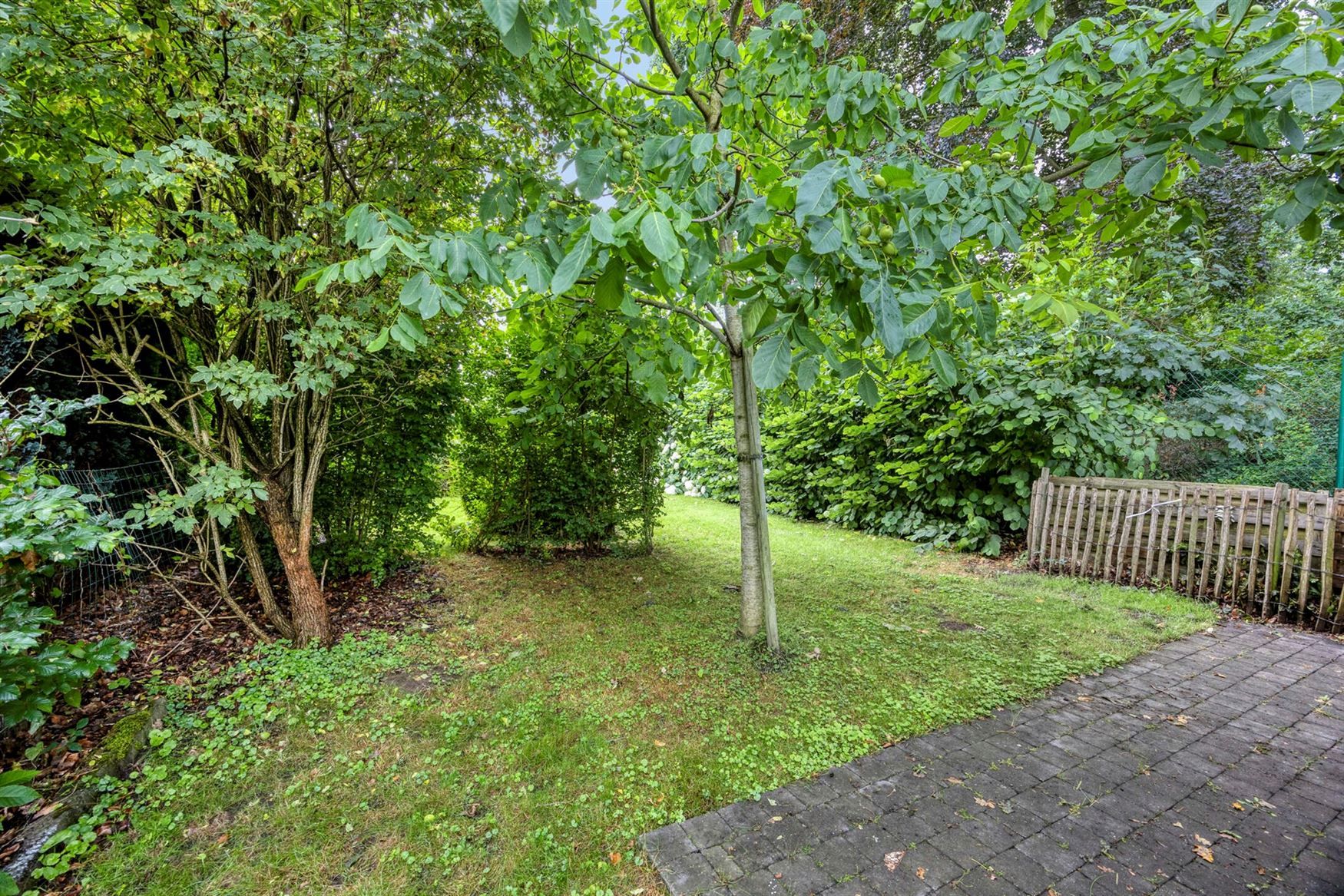 Gerenoveerde woning foto 22