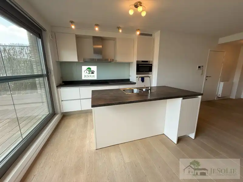Tiptop verzorgd 2 slpk appartement met groot terras foto 6