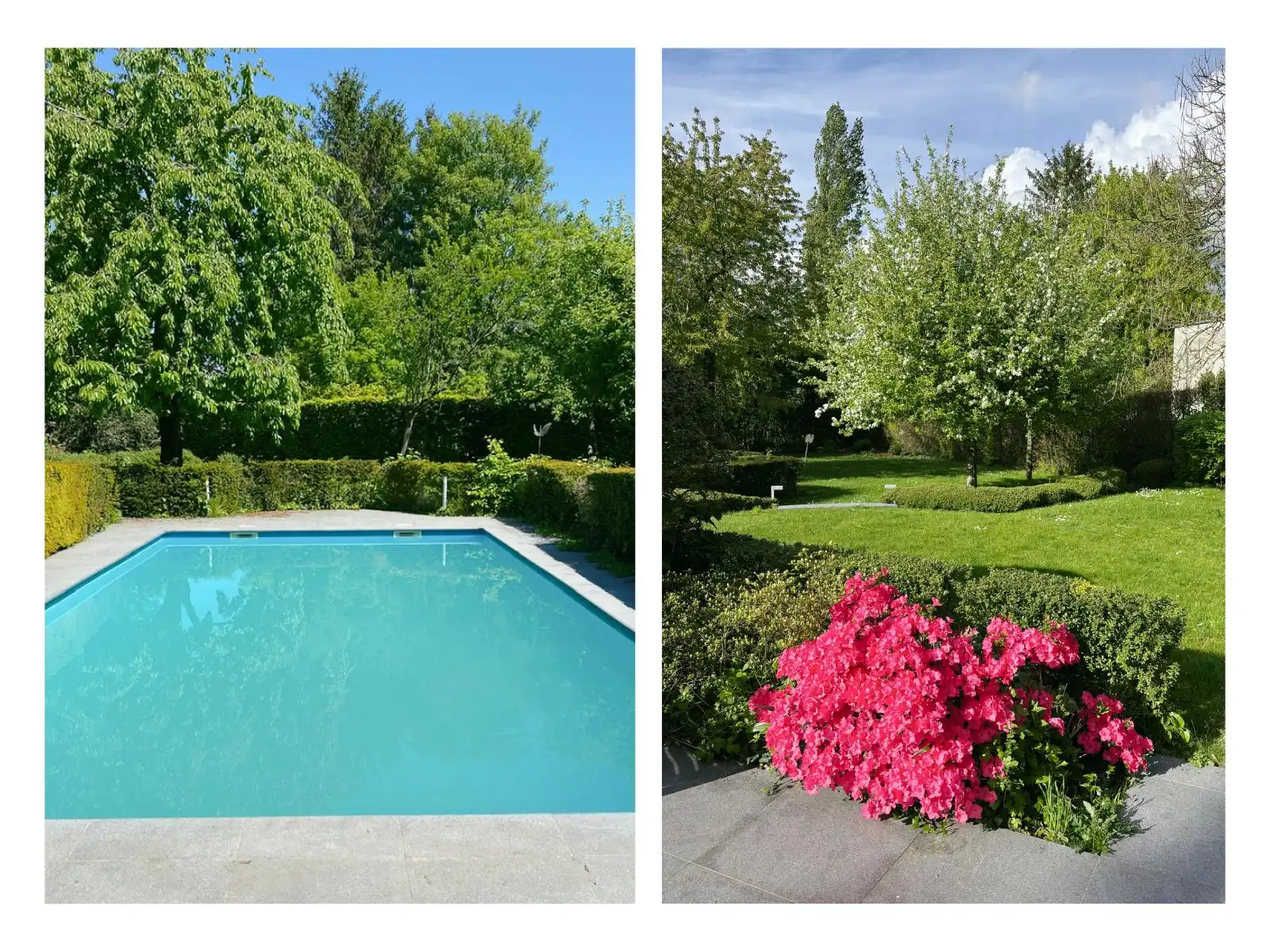 Exclusieve villa op uitzonderlijk perceel van 1 767 m², grenzend aan natuurgebied foto 2