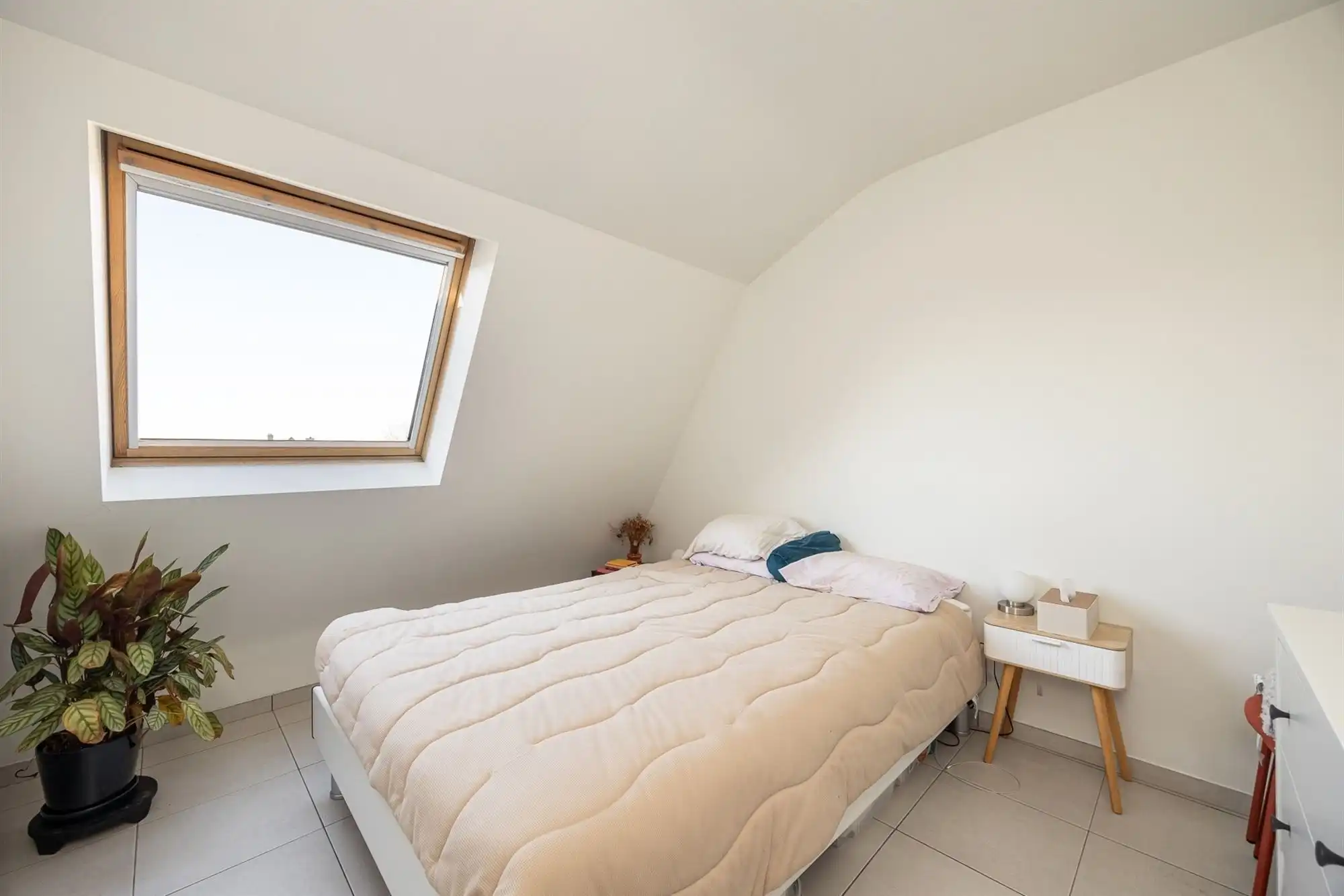 Appartement foto 10