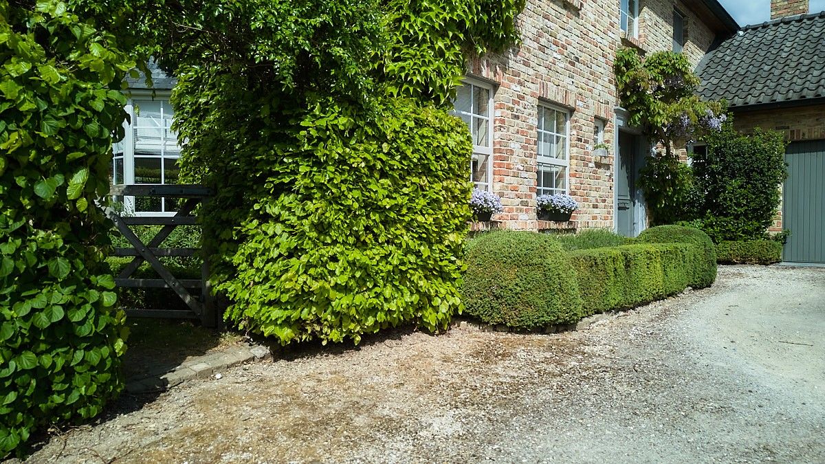 Hedendaags landelijk en rustig wonen in deze opmerkelijke villa met aangelegde tuin. foto 2