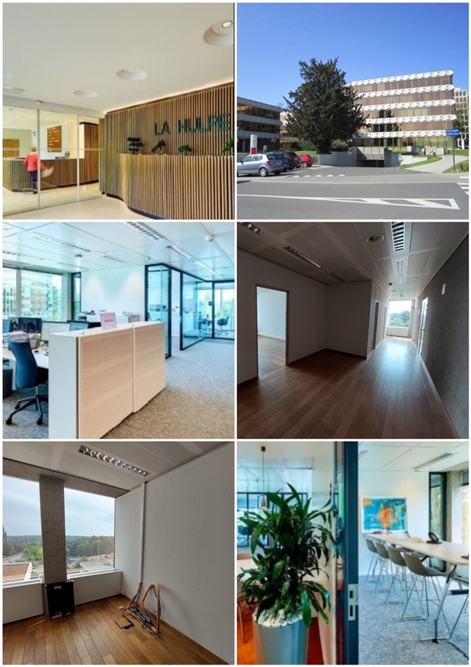 HULPE 187-189: 795m² foto 13