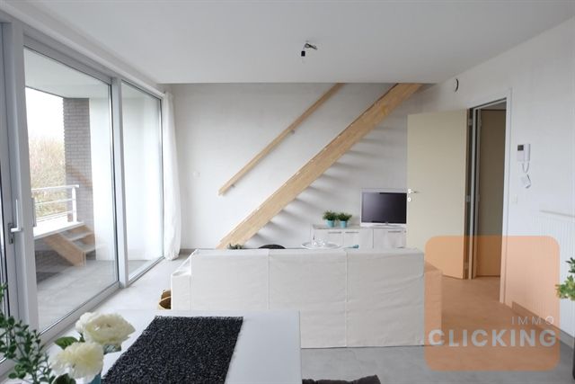 Top investering 4 duplexen RES ROMAIN foto 13