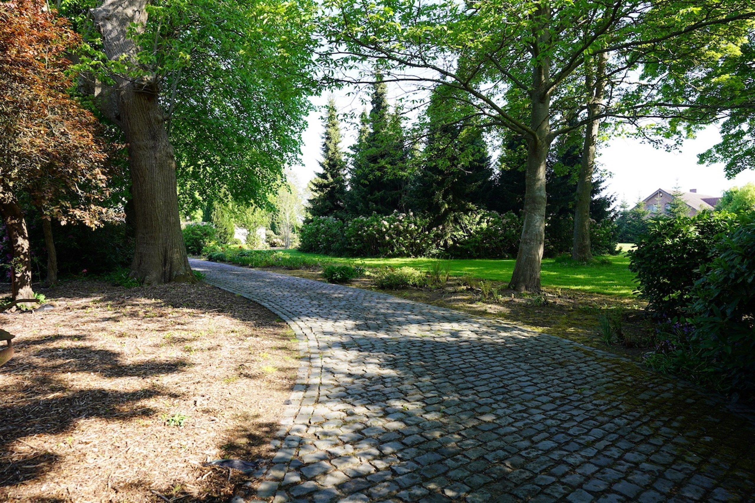Opportuniteit! Eigendom op 1 Ha met buitengewone privileges foto 3