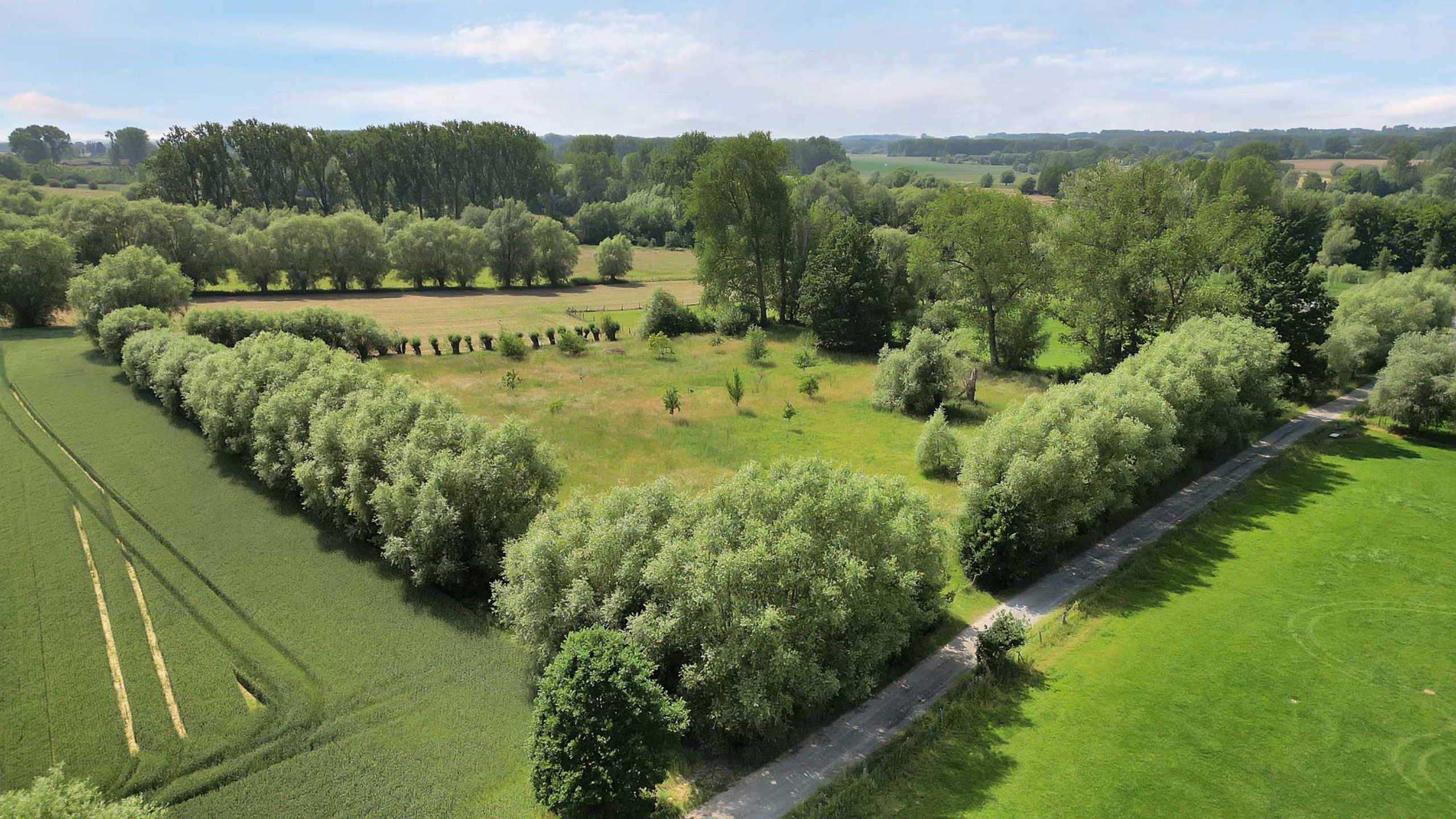 Weideland op een goede locatie foto 6