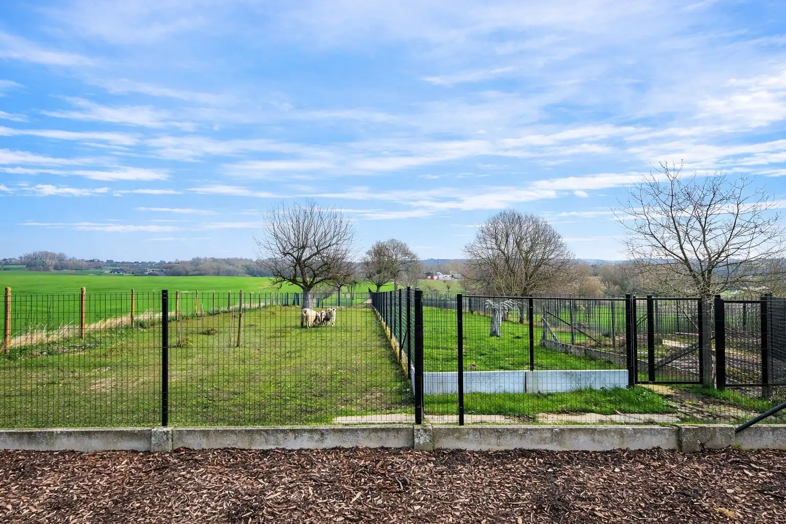 Dit uitzonderlijk ruim en energiezuinig landhuis op 4.149 m² combineert comfort, volume en een instapklare afwerking met tal van mogelijkheden. Topper! foto 29