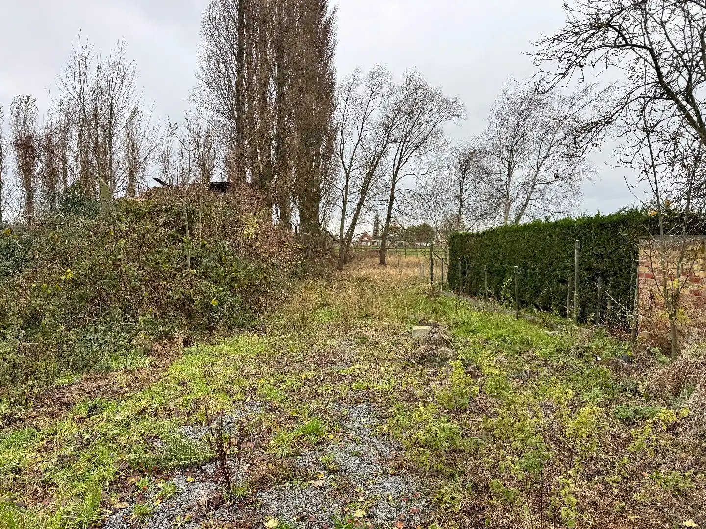 Te renoveren handelshuis te Eernegem foto 6