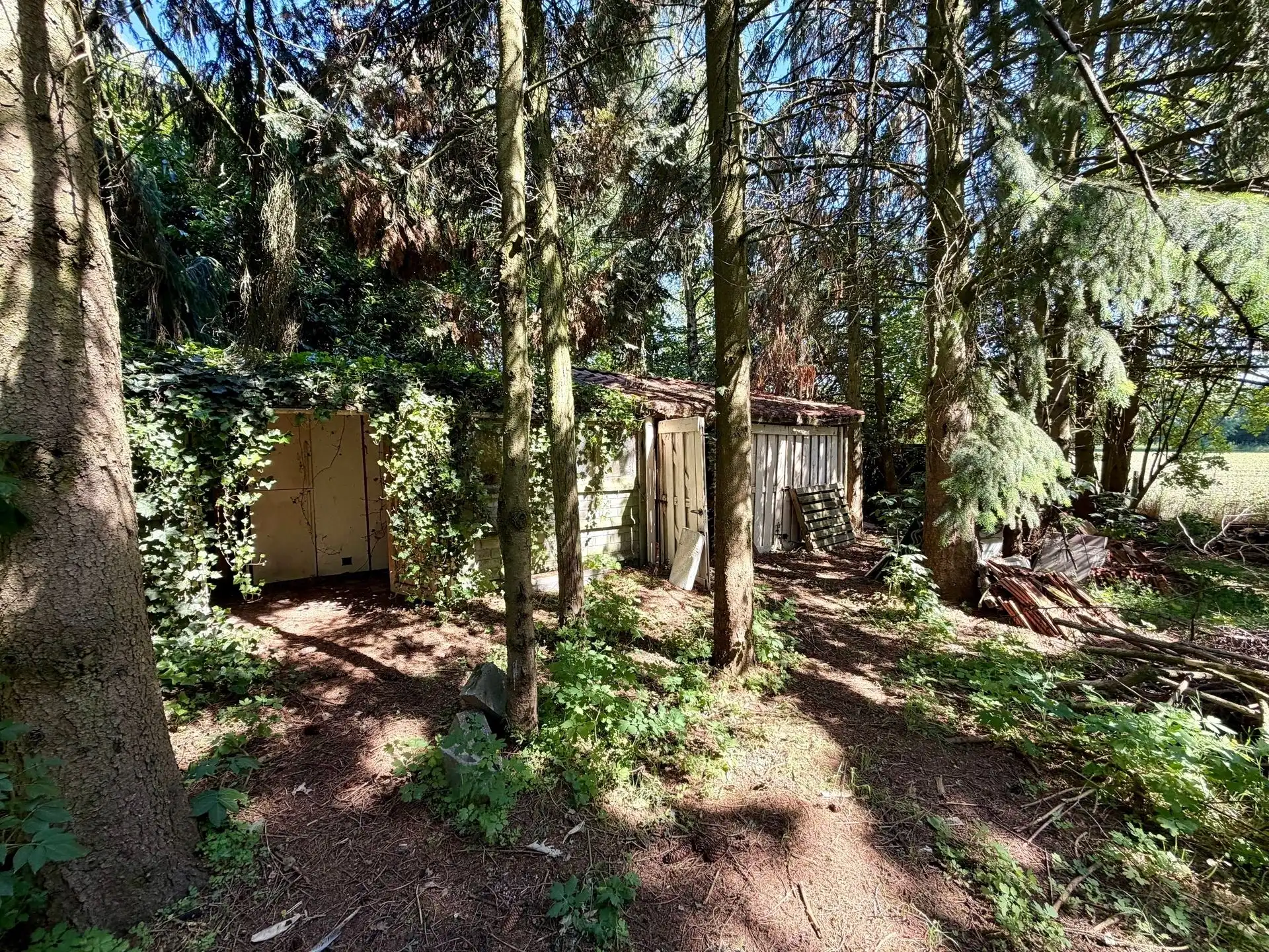 Vrijstaande woning op 25 are met uitzonderlijk renovatiepotentieel in het groen. foto 7
