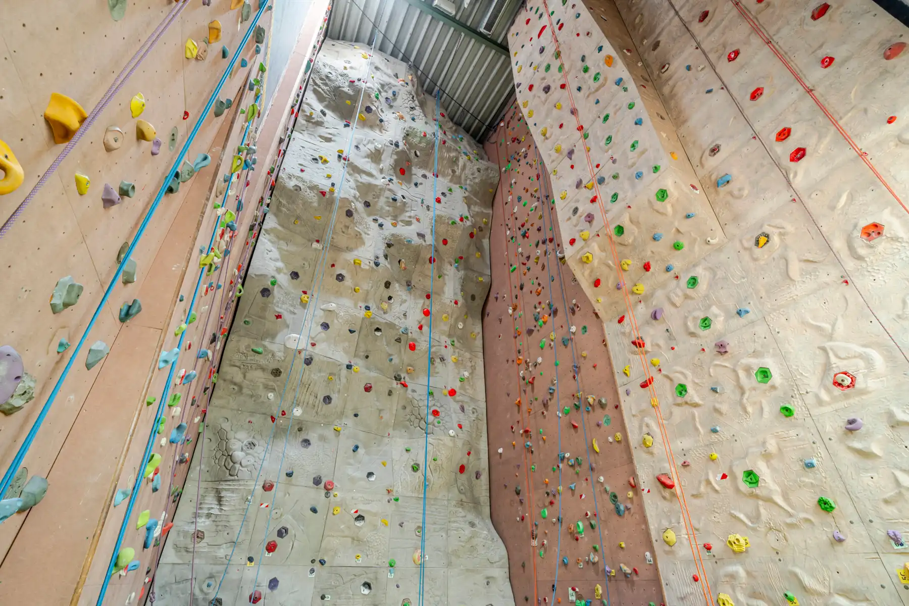 Commercieel te koop foto 19