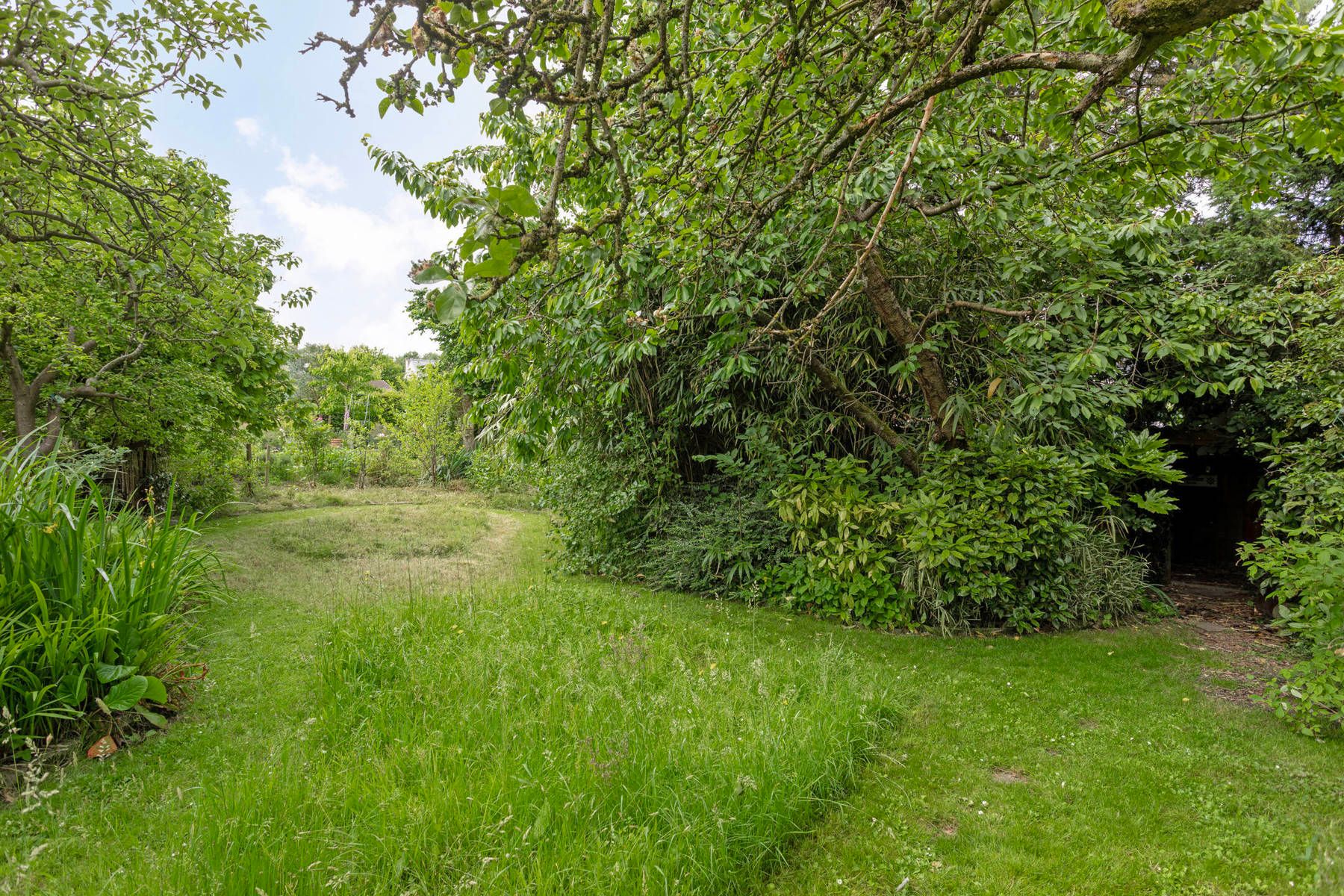 Villa met 4 slpk, tuin, garage en uitbreidingsmogelijkheden! foto 29