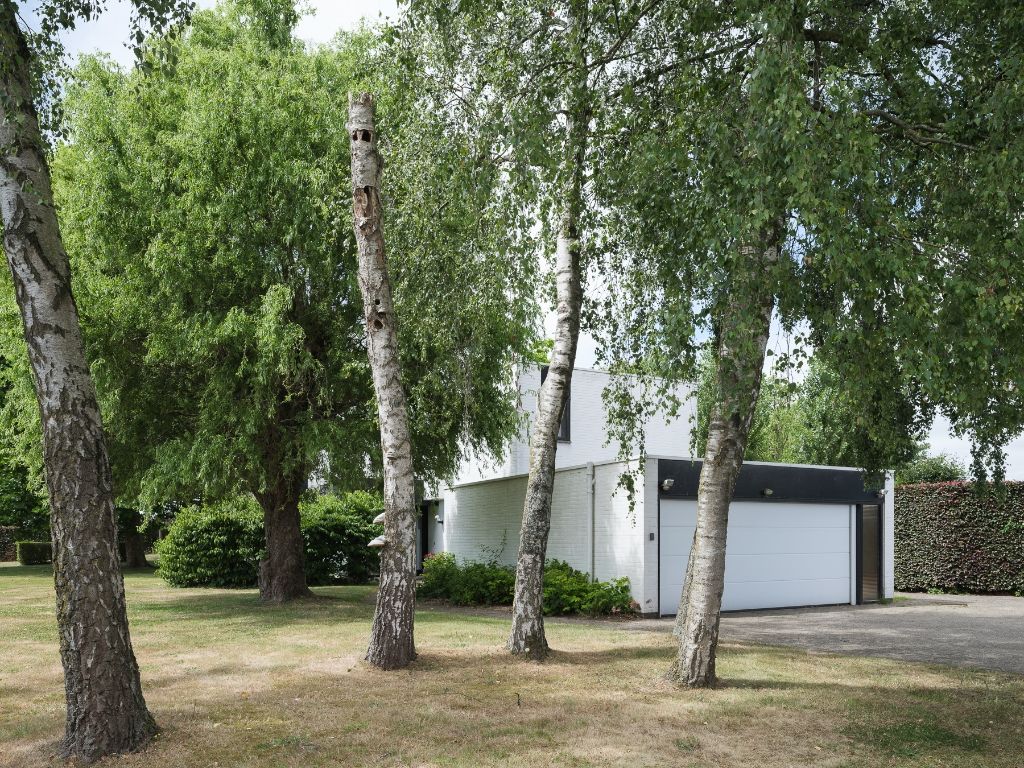 Vrijstaande modernistische villa te Zomergem op een uitzonderlijk perceel van 2.595m². foto 17
