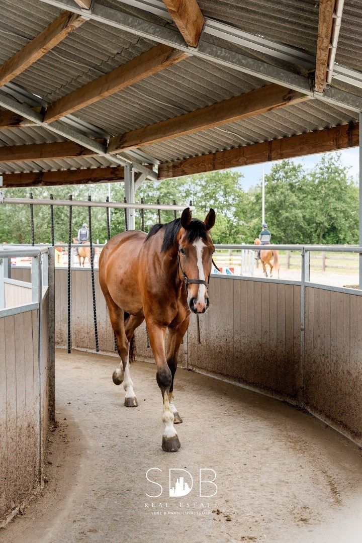 Commerciële ruimte te koop foto 35