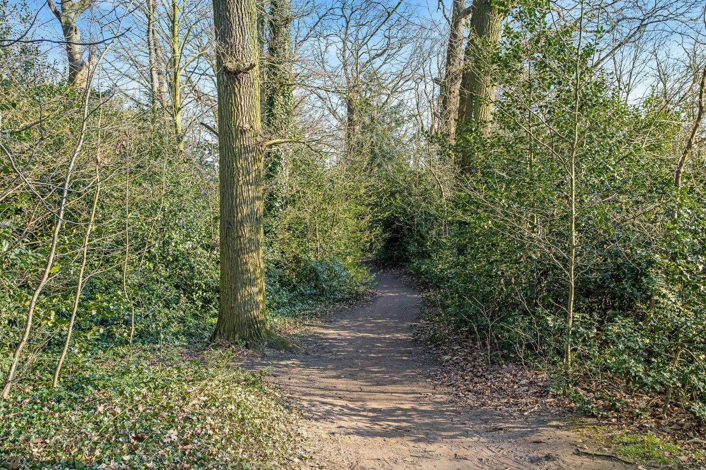 Centraal gelegen, op te frissen woning met 2 à 3 slpk., inpandige garage en tuin foto 31