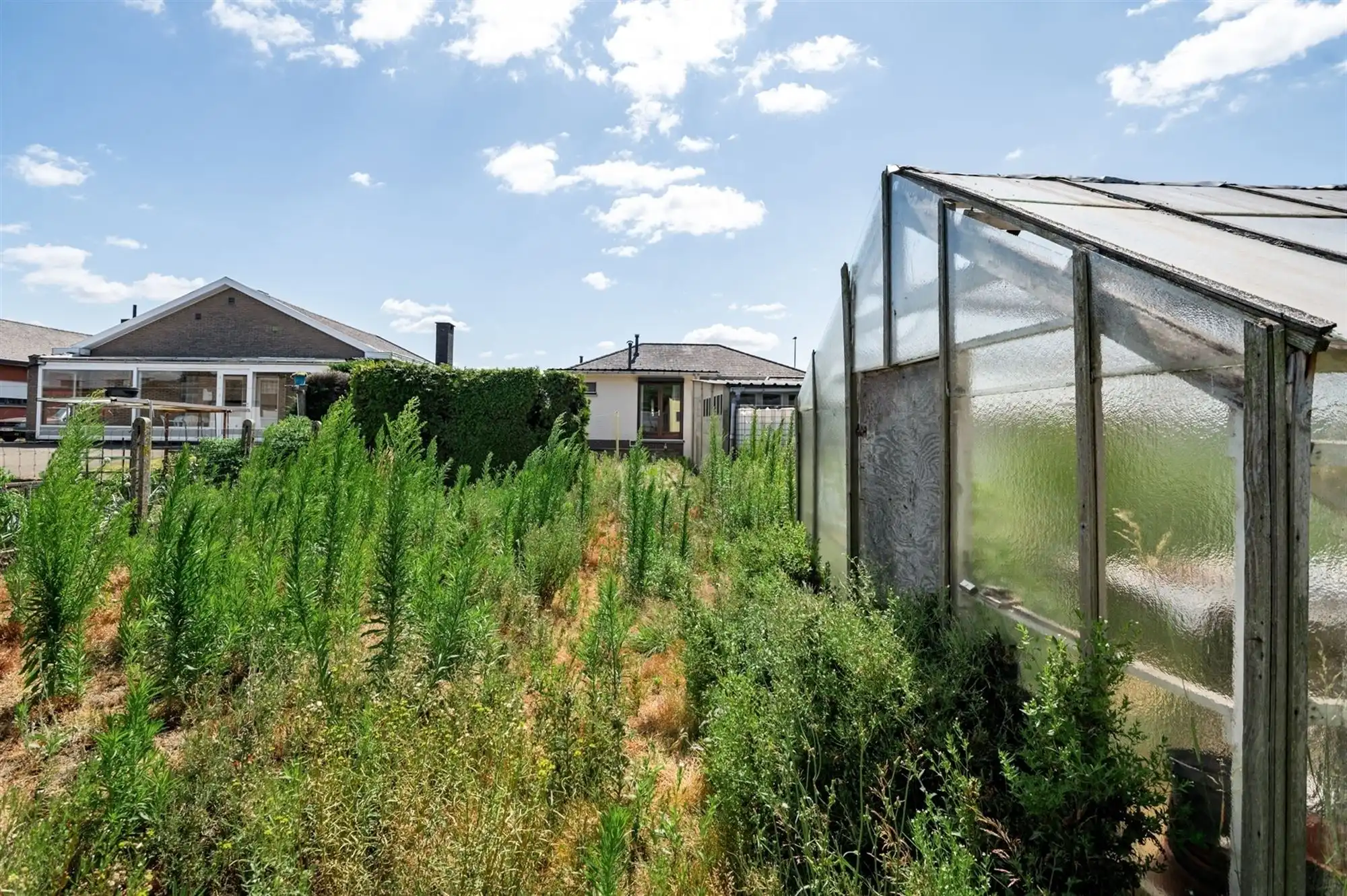 Bouwgrond met af te breken of grondig te moderniseren woning te Putte foto 12