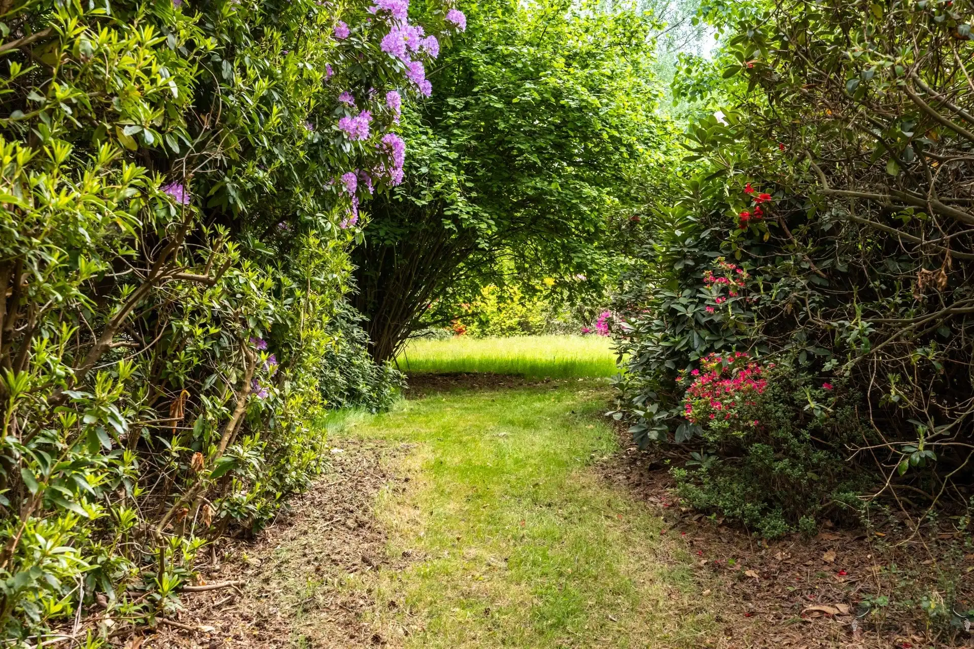 Karaktervolle cottage-villa op een royaal perceel van 8.603 m² in Kapellenbos. foto 24