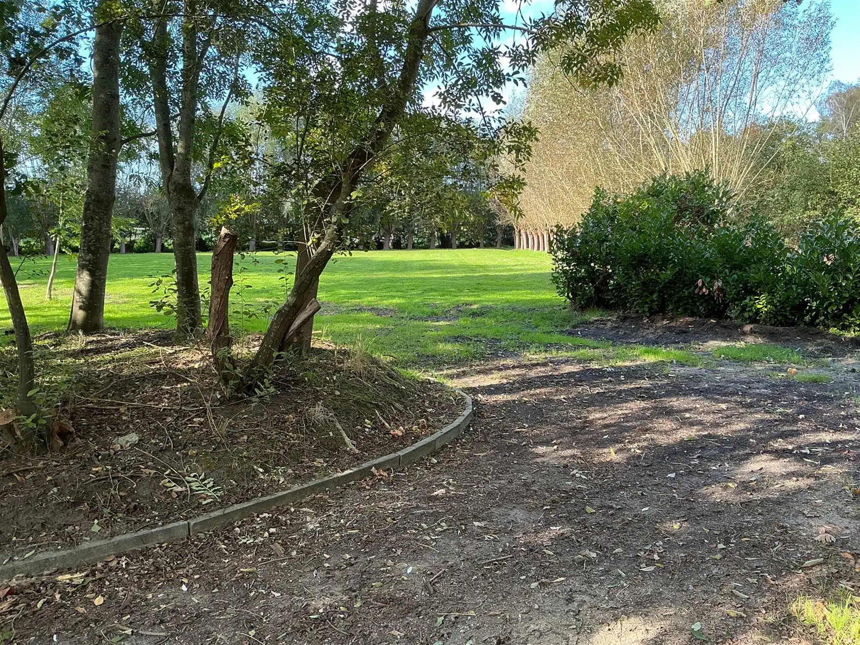 Loods van 240 m² in een groene oase van 5.236 m² foto 6