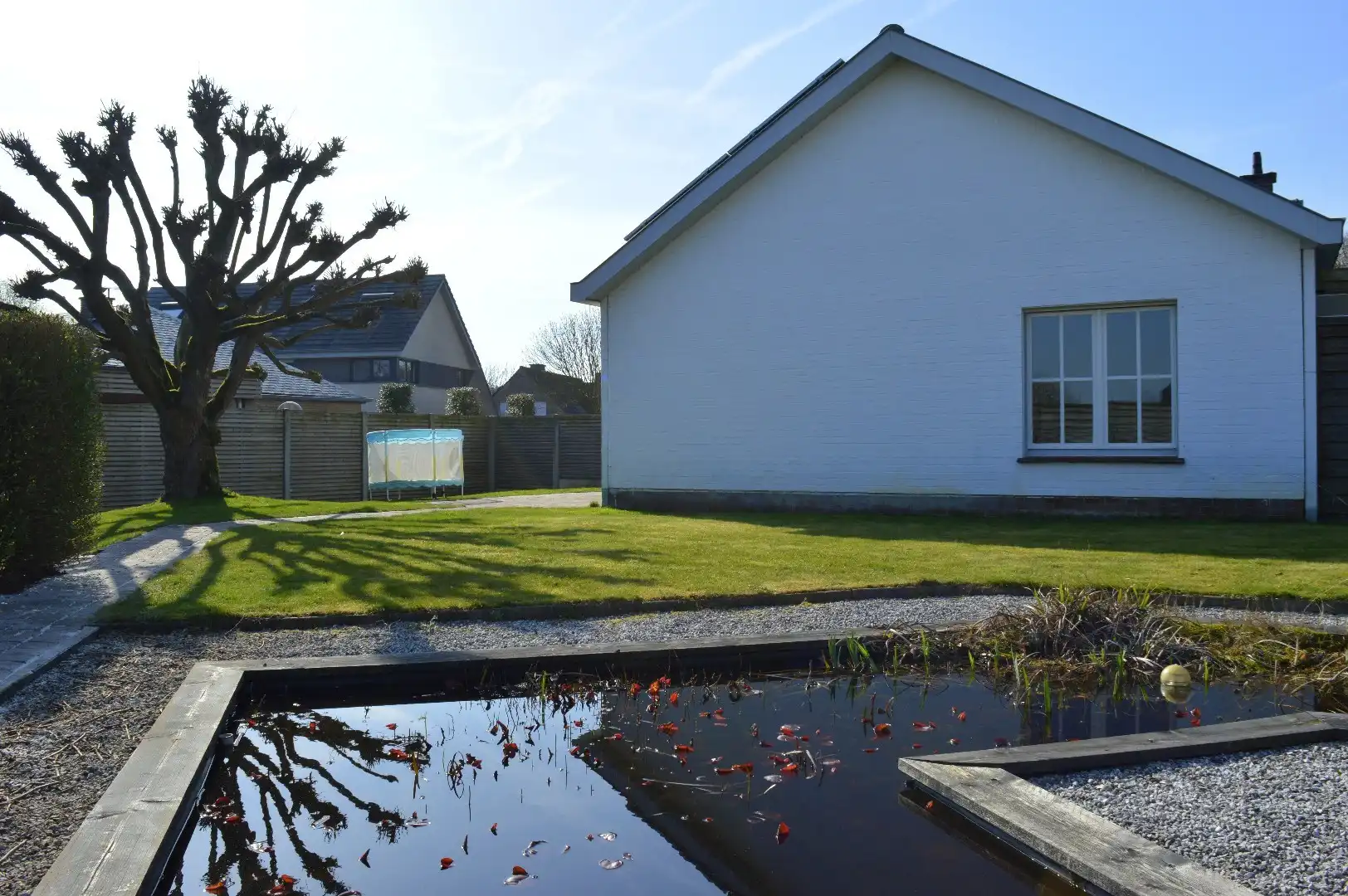 Instapklare woning met 3 slaapkamers, garage en een mooi stukje tuin te koop in residentiële wijk te Aalbeke foto 22