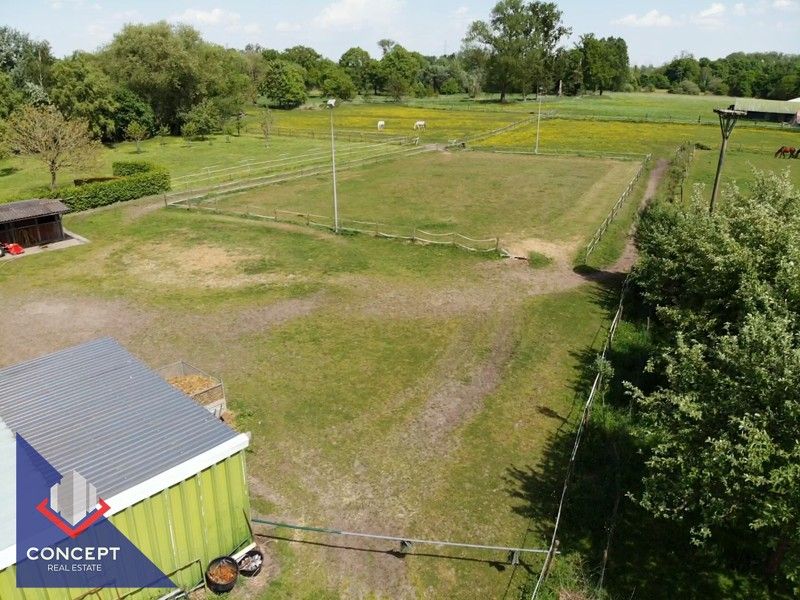 Instapklare woning met 3 slaapkamers met achterliggende paardenweides. foto 61