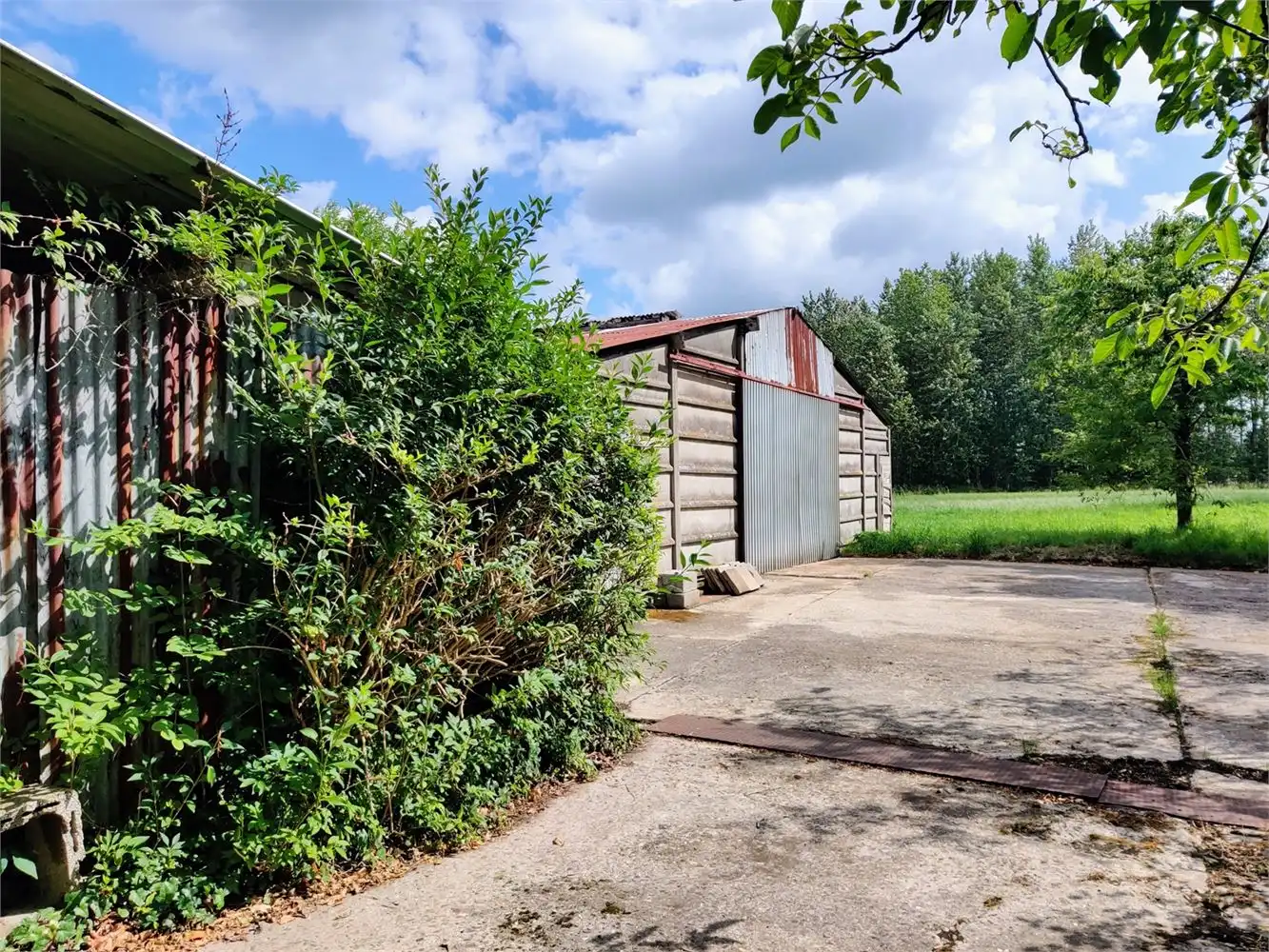 Te renoveren langgevelhoeve op 3,29 ha foto 6