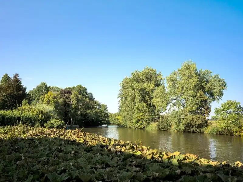 Exclusief domein aan de Leie in Afsnee foto {{pictureIndex}}