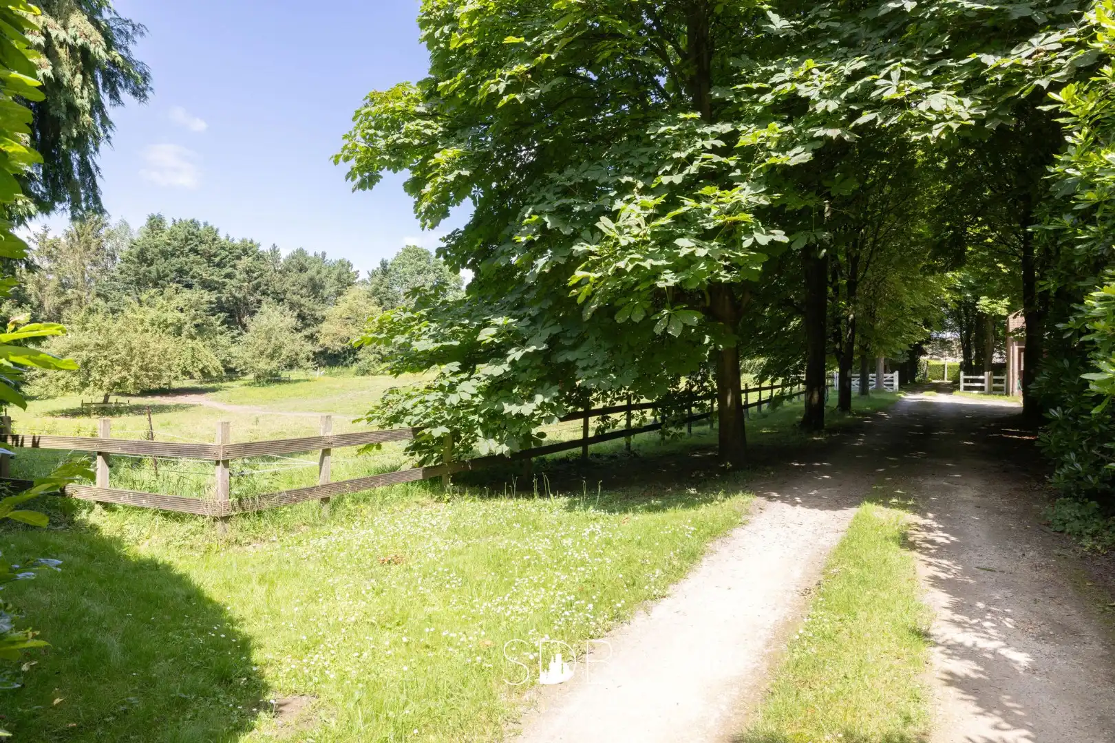 Prachtig kasteel met omringend park, weilanden en stalgebouw op circa 5hectare foto 30