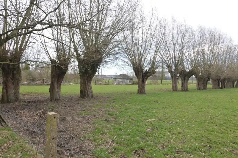 Authentieke te renoveren hoeve op circa 2,5ha. foto 9