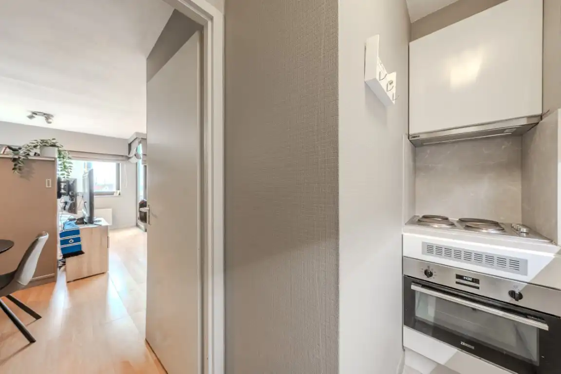 Vernieuwde studio met slaaphoek  foto 8