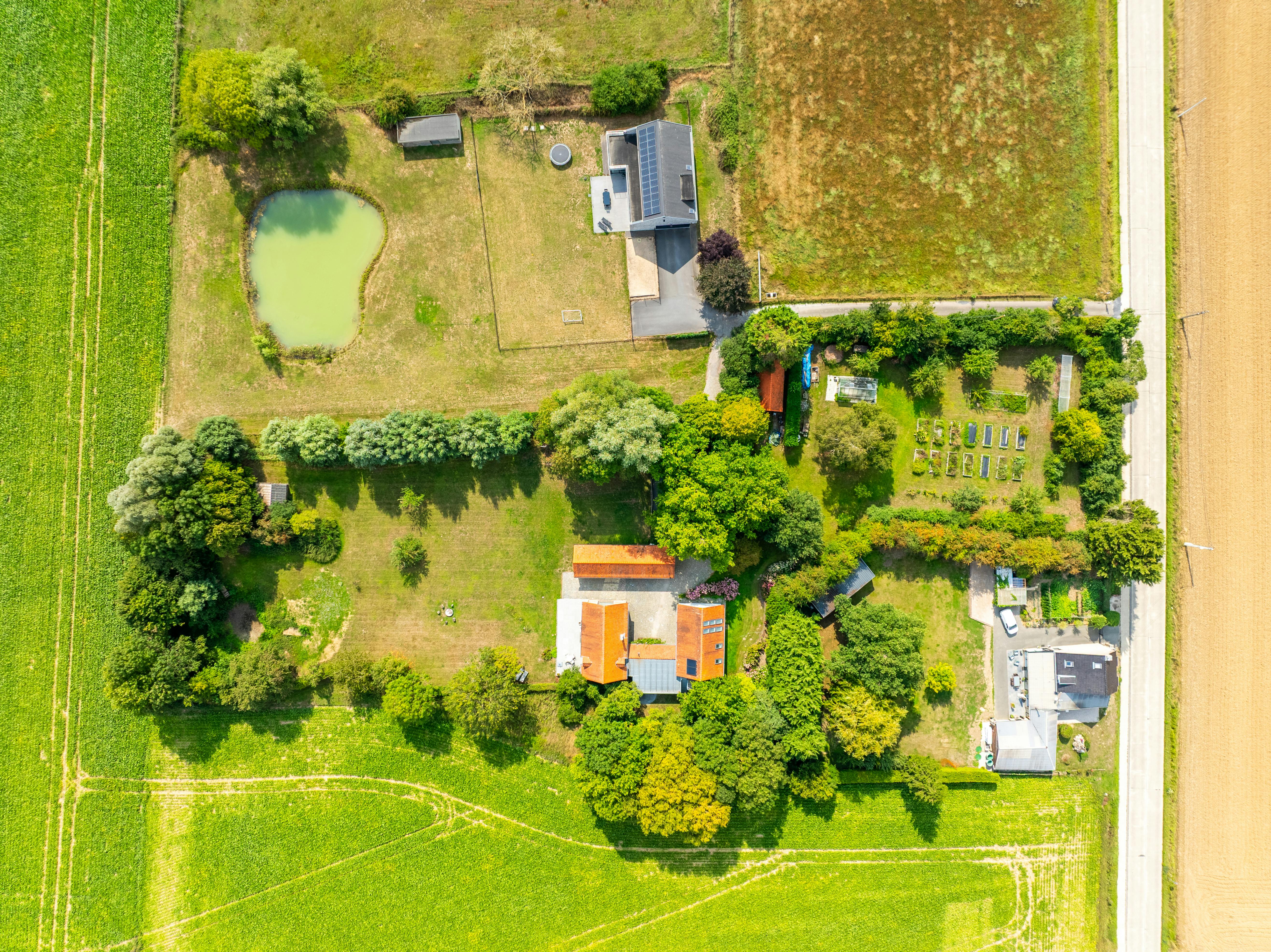 Exclusief landhuis op +/- 8000 m²: de synthese van rust en ruimte foto 41