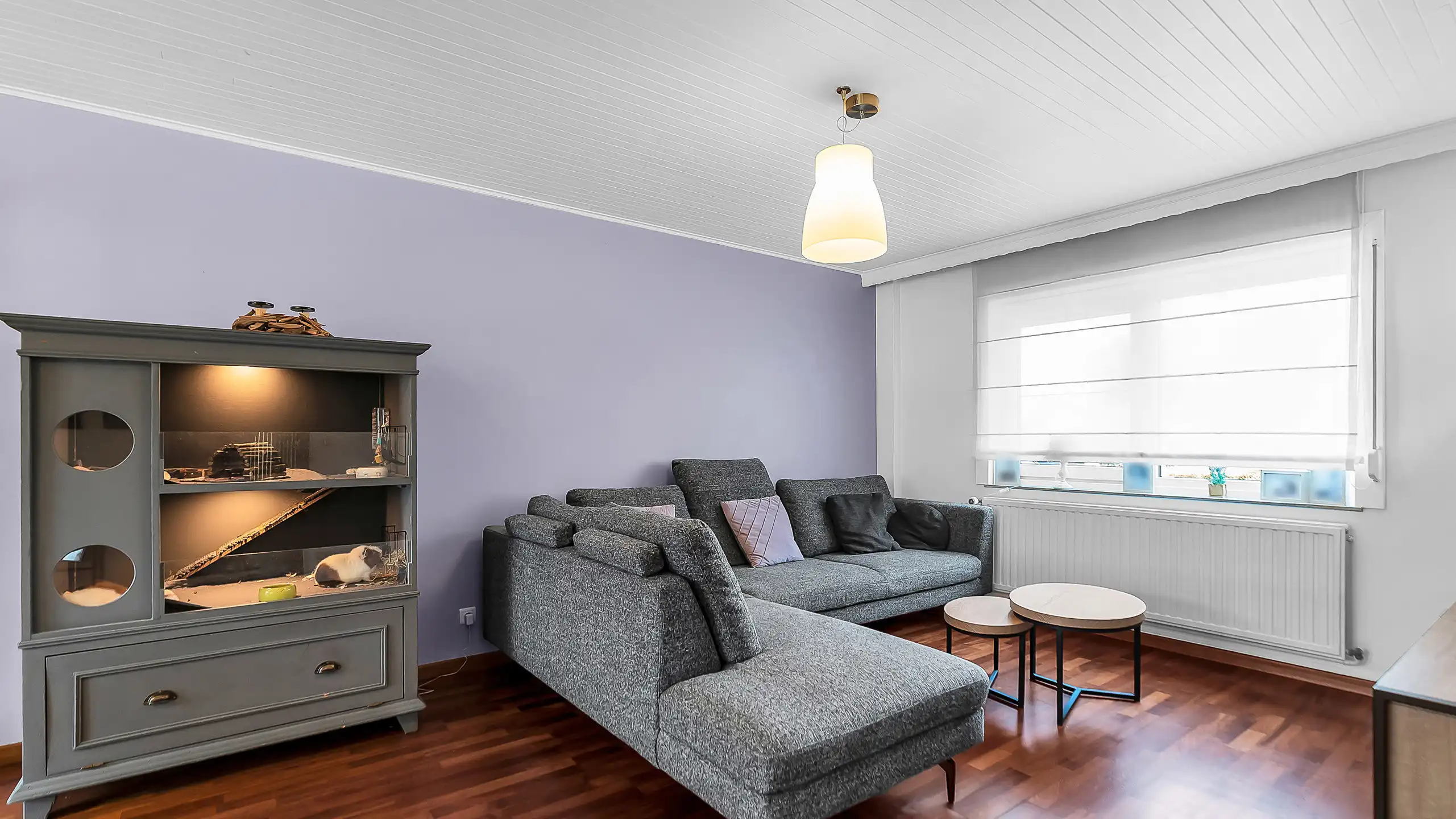 Huis te koop foto 5