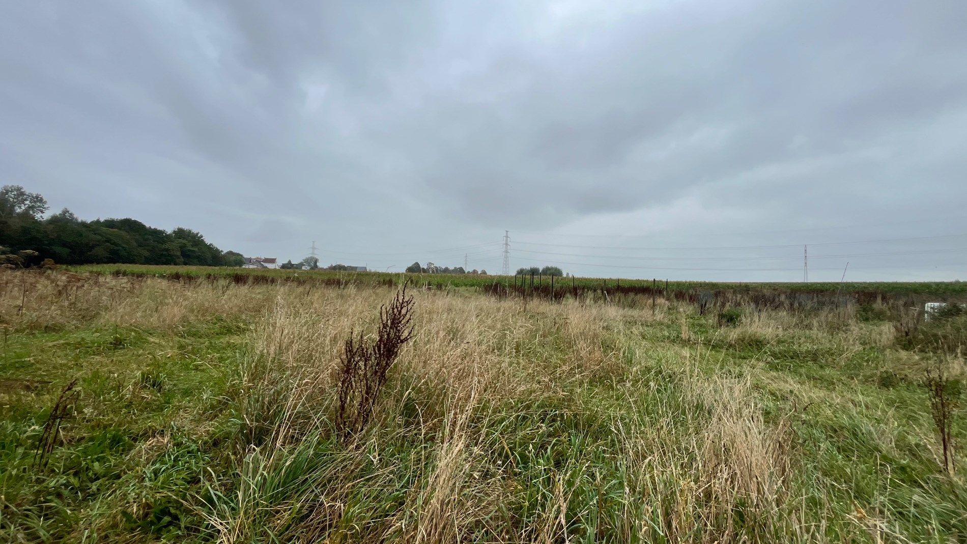 Groot stuk landbouwgrond van 4970 m² foto 5