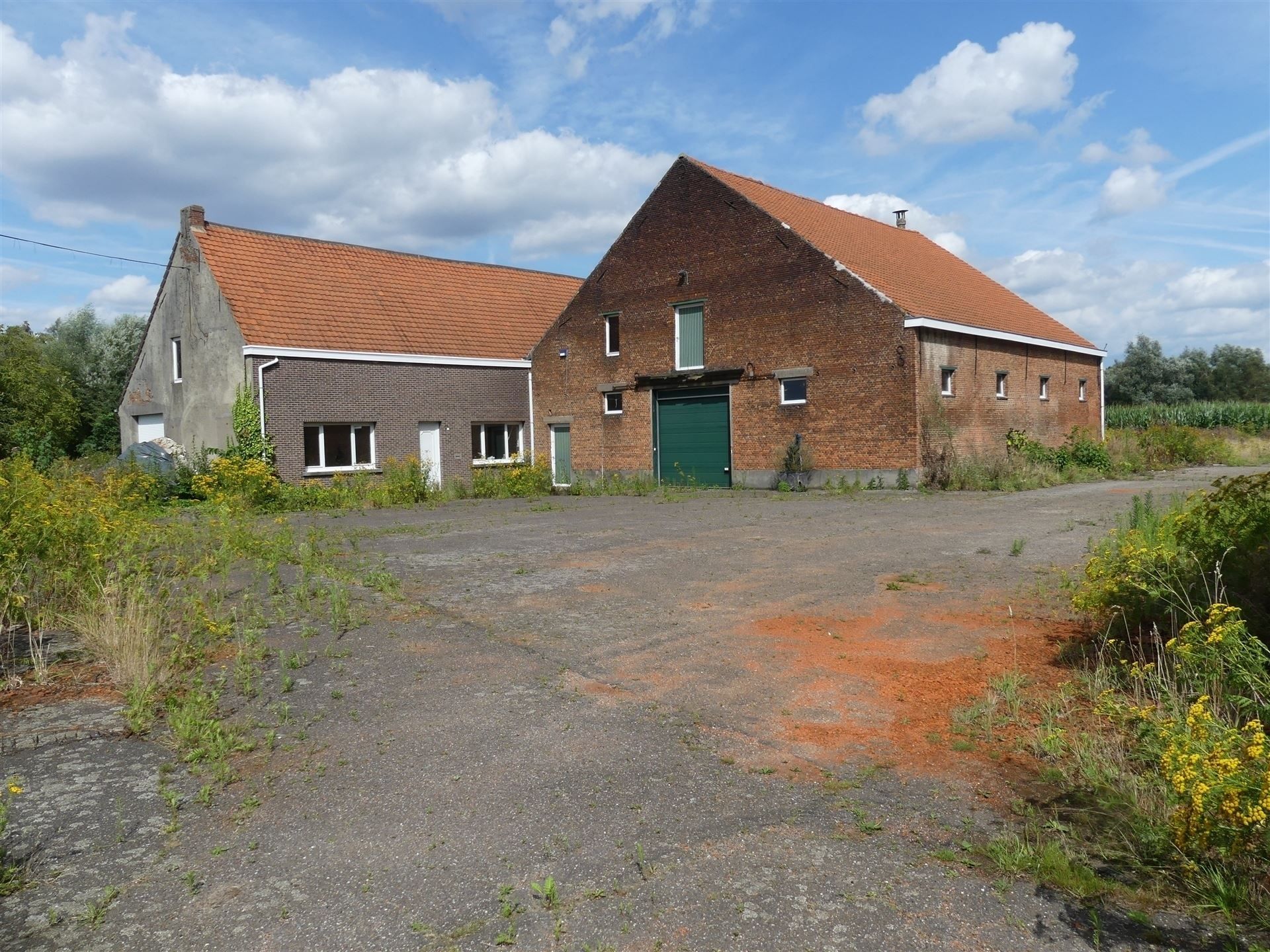 Boerderij foto 6