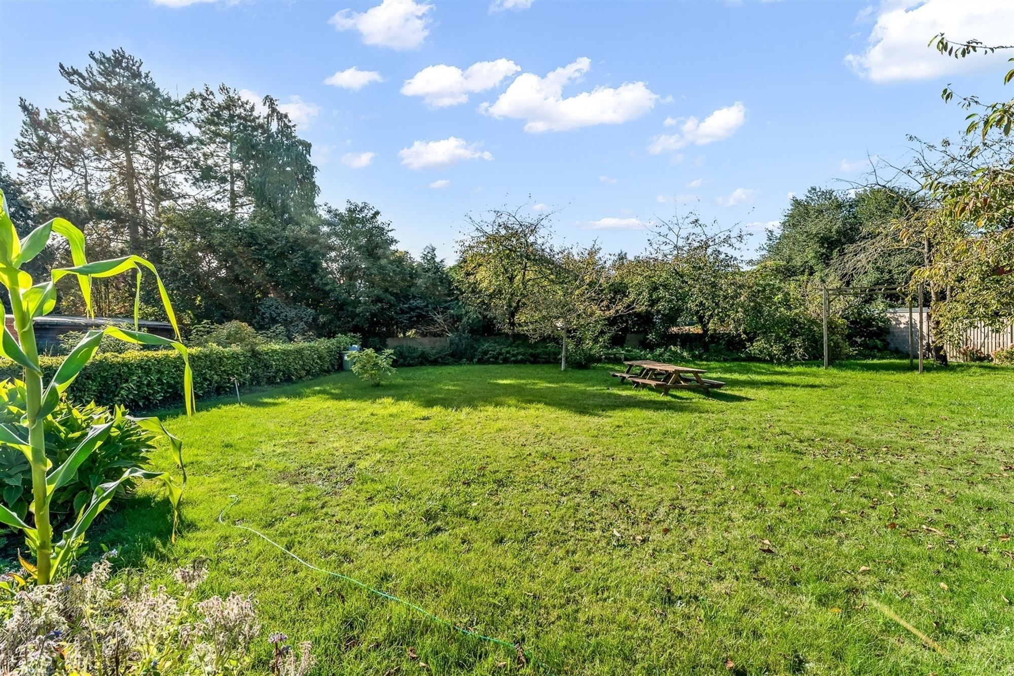 WONING OP UITZONDERLIJK PERCEEL PAL IN HET CENTRUM VAN BALEN foto 4