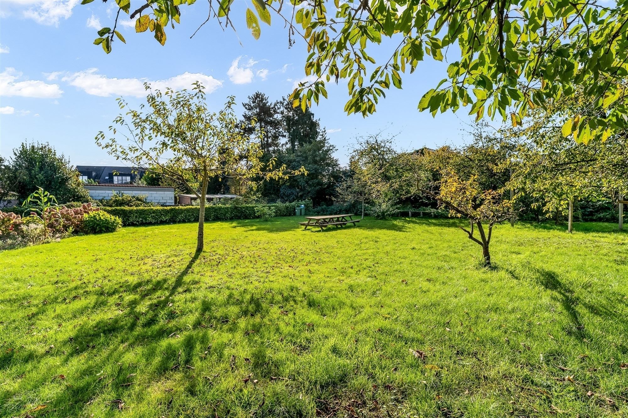 WONING OP UITZONDERLIJK PERCEEL PAL IN HET CENTRUM VAN BALEN foto 4