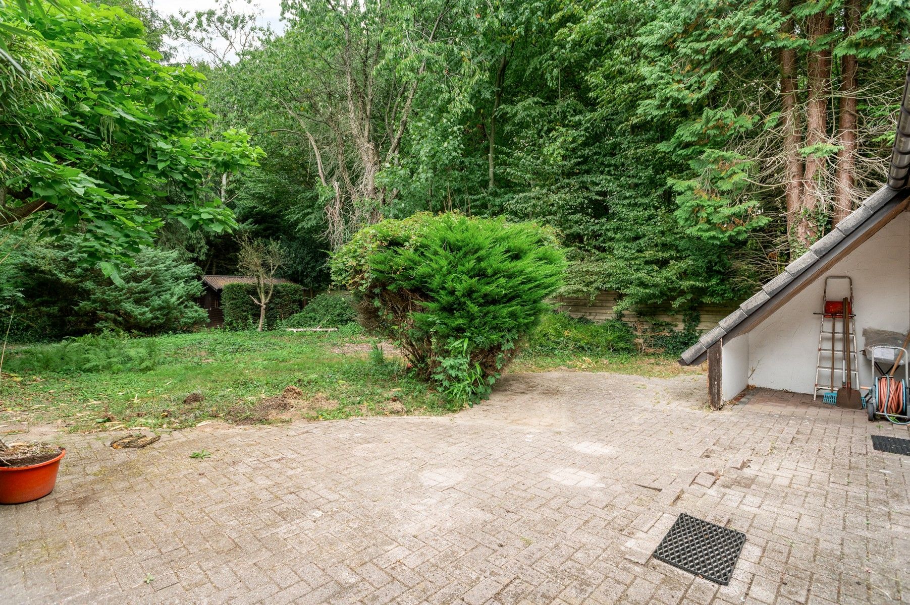 IN OPTIE !! Te renoveren woning met uitbreidingsmogelijkheden in oase van rust en groen foto 3