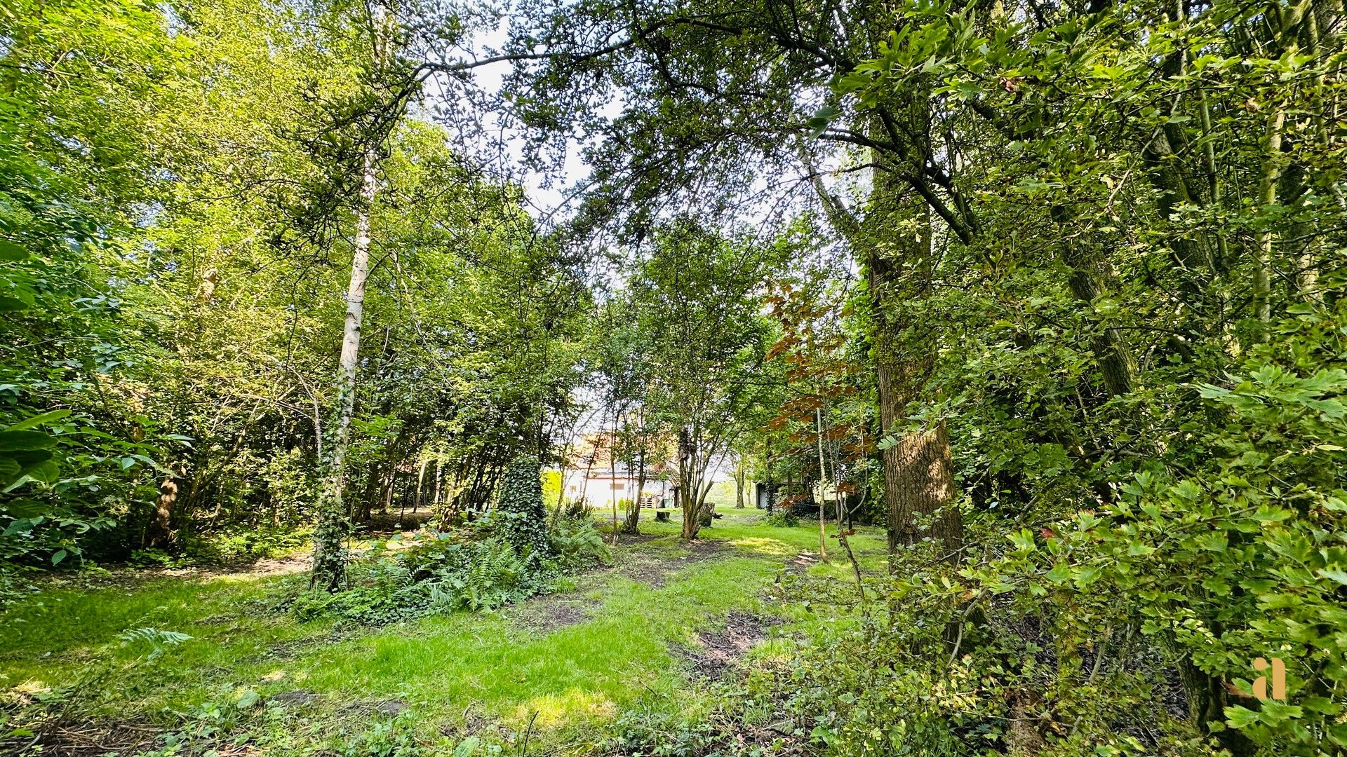 Groen geluk, bouw je droom in Deurle! foto 9