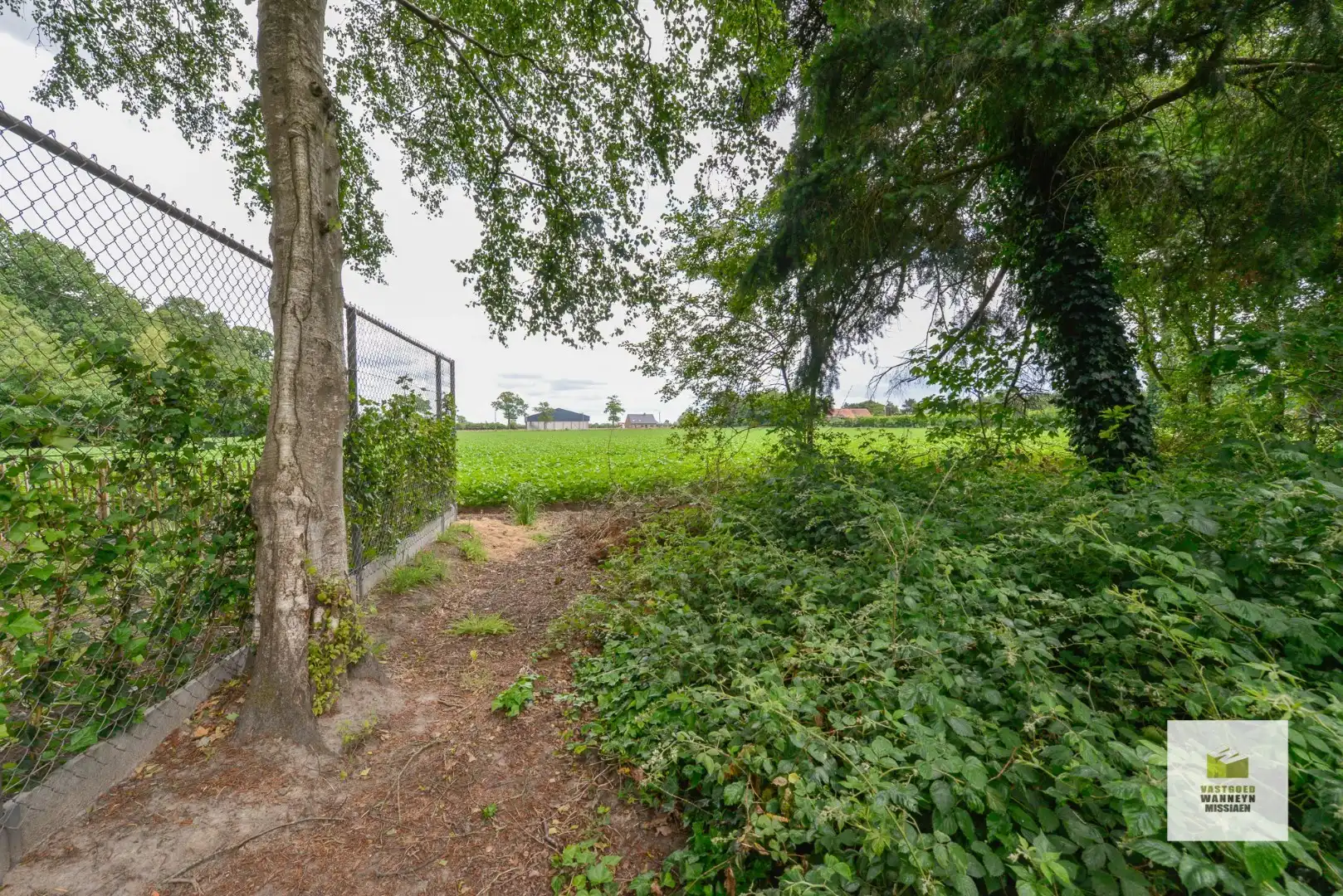 Ruim perceel bouwgrond (990m2) in idyllische omgeving te Lakebossen Zwevezele  foto 7